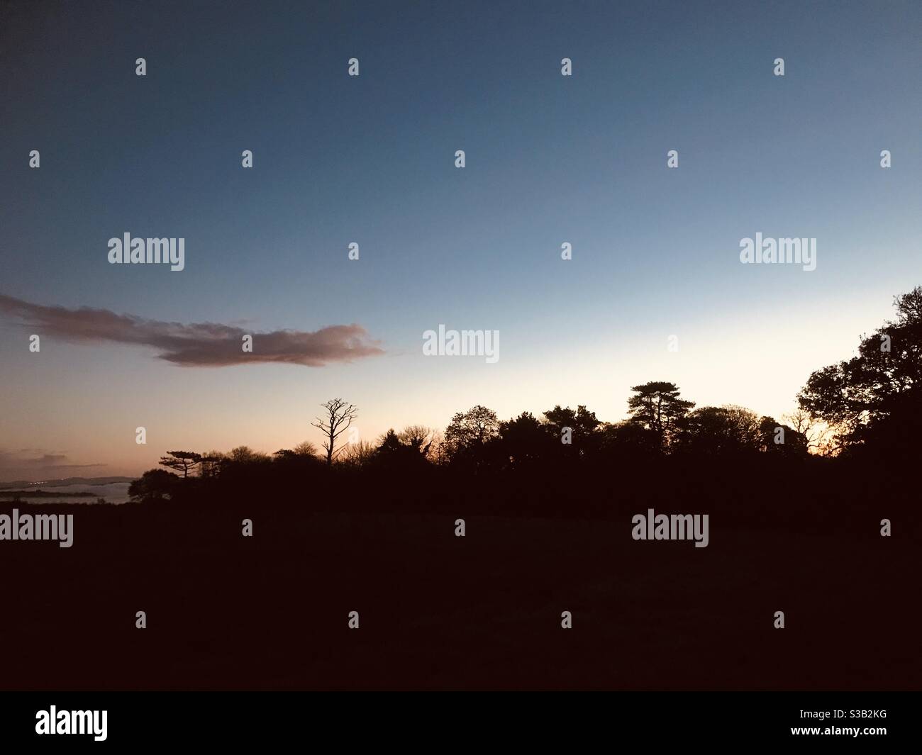 Hecke Morgen Silhouette Stockfoto