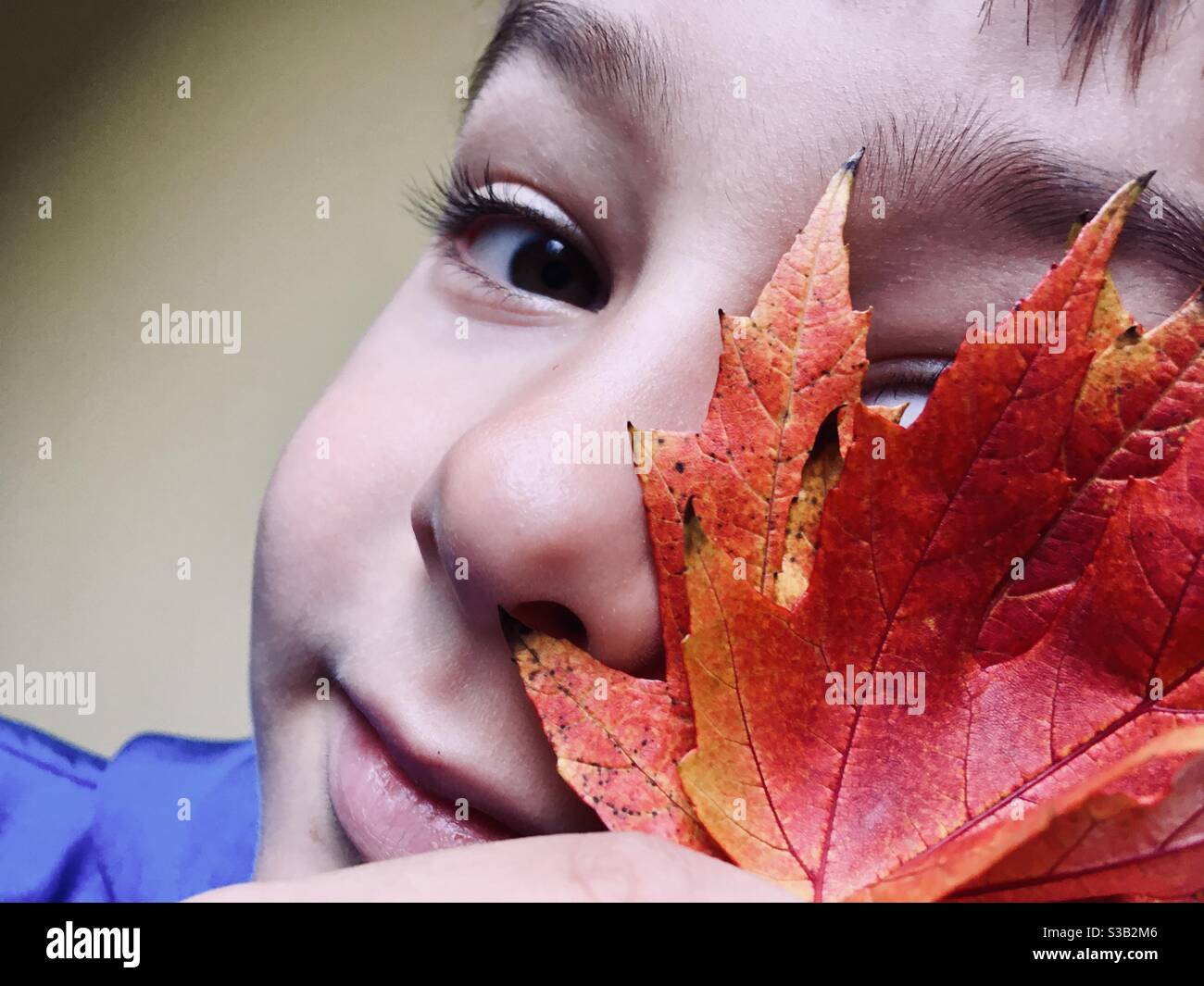 Junge Kind Kind Blick in Richtung Kamera von hinten bunten Herbst Blätter - Smartphone-aufgenommenes Stockfoto