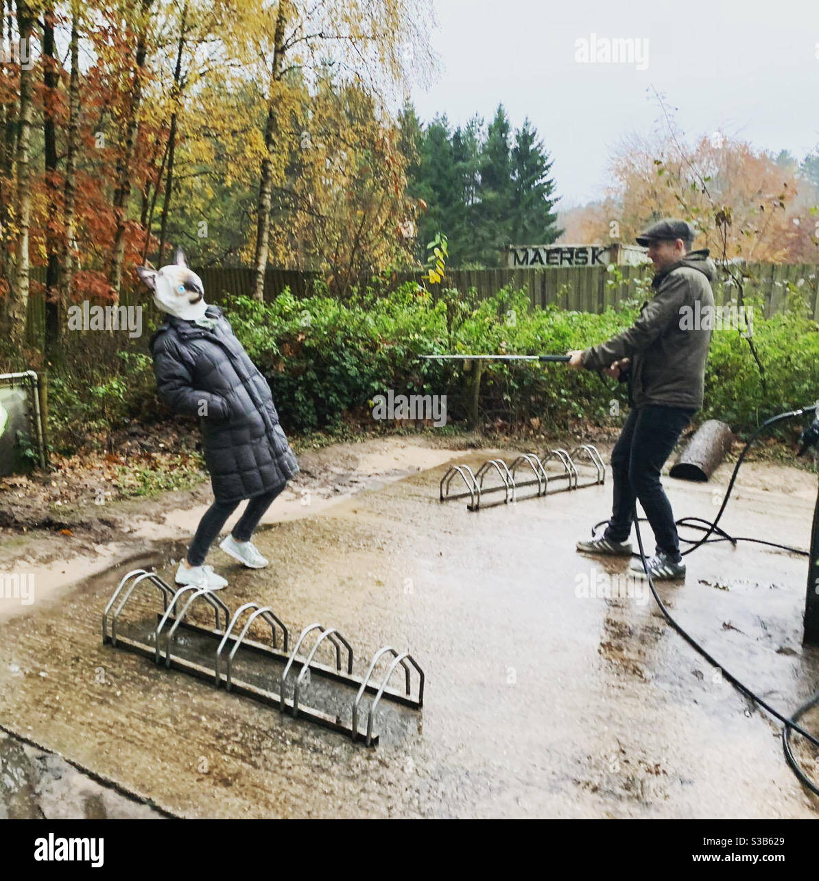 Die Katze mit dem Hosend hinunterzuschmieren - Smartphone-aufgenommenes Stockfoto