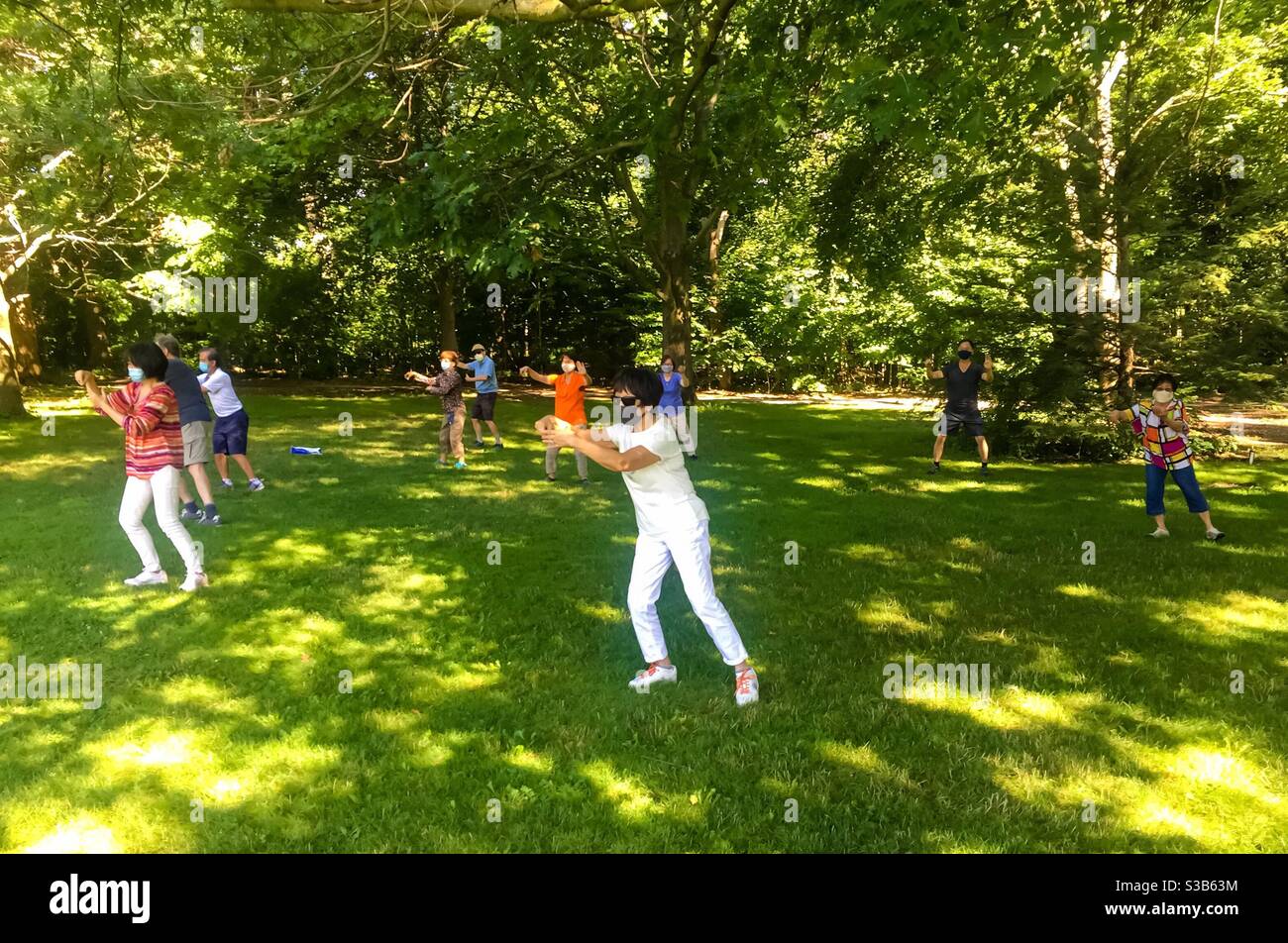 Gruppe Tai-Chi im Park, unter den Bäumen, Ontario, Kanada - Smartphone-aufgenommenes Stockfoto