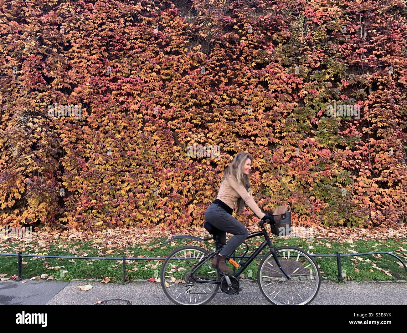 Radfahrerin gegen die Wand der Herbstblätter Stockfoto