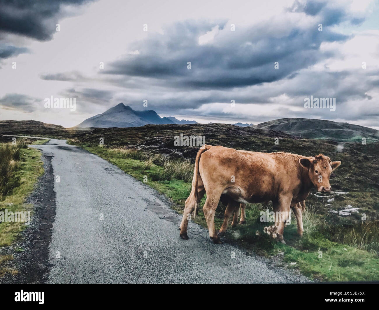 Highland Straßen Stockfoto