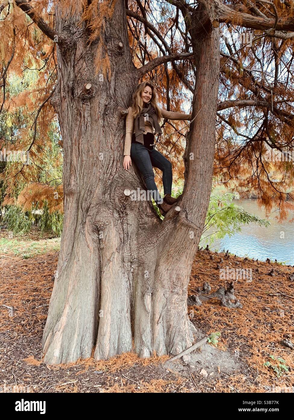 Frau im Morgengrauen Redwood Baum st James Park Stockfoto