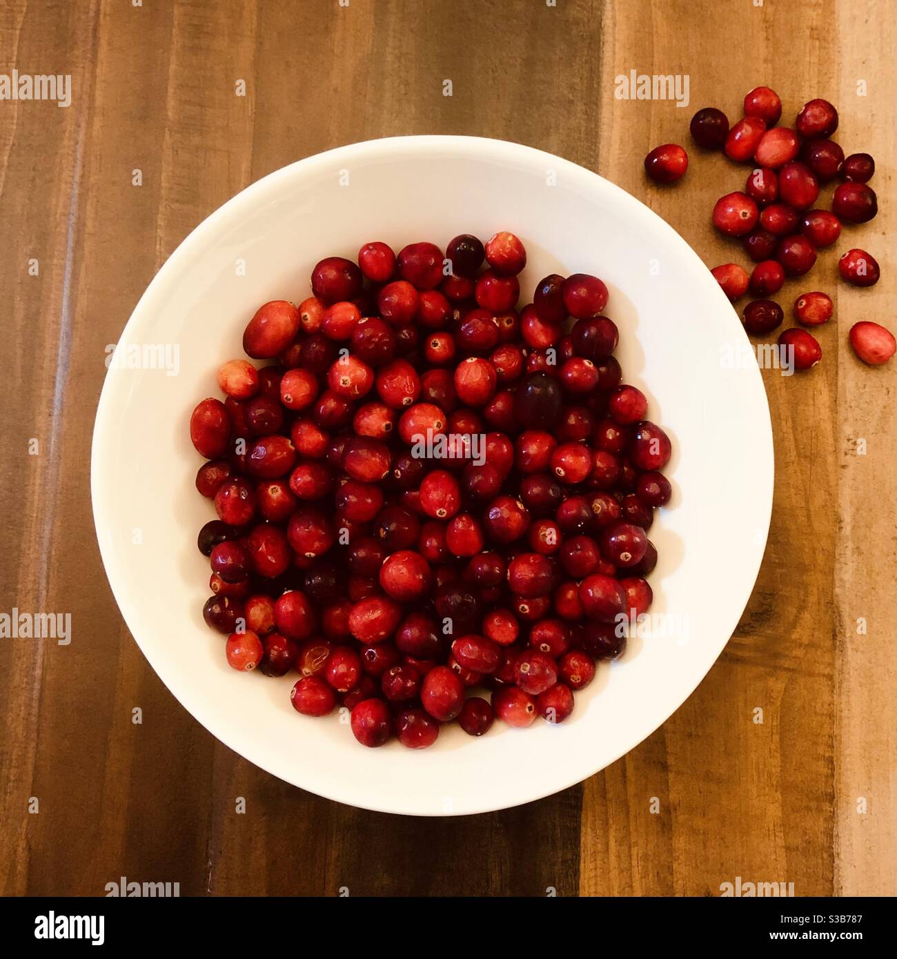 Ein Übersichtsfoto von vielen ungekochten frischen Preiselbeeren. - Smartphone-aufgenommenes Stockfoto