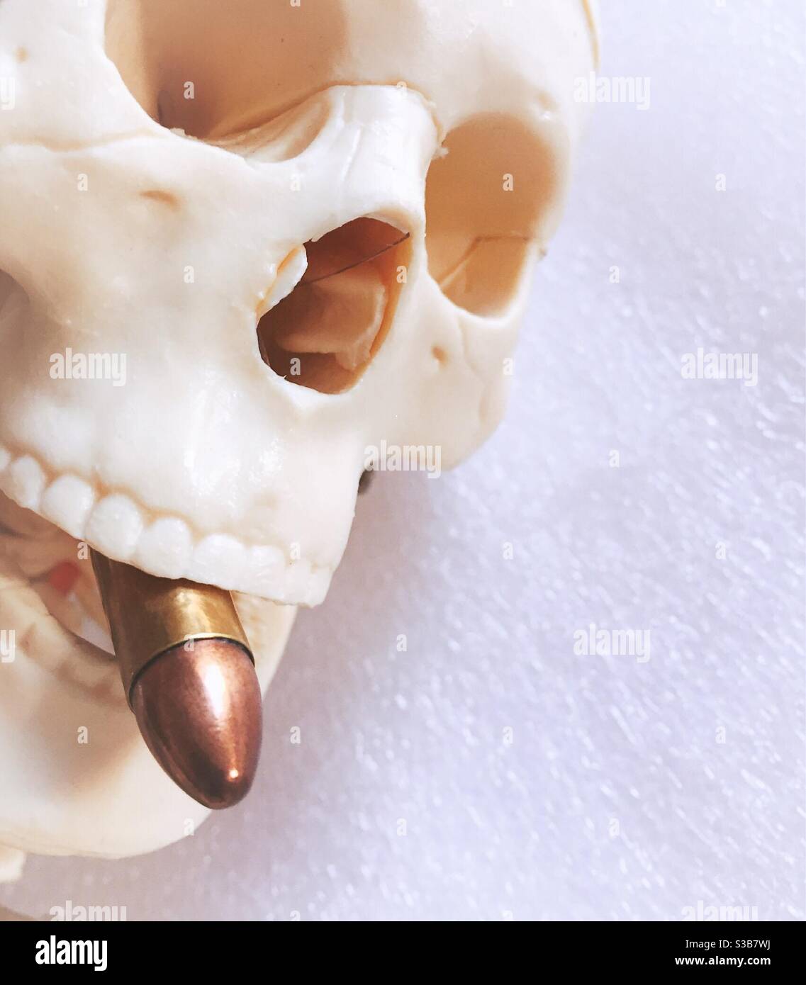 Skelettkopf mit einer Kugel im Mund, die das Idiom „Biss the bullet“ darstellt, USA Stockfoto