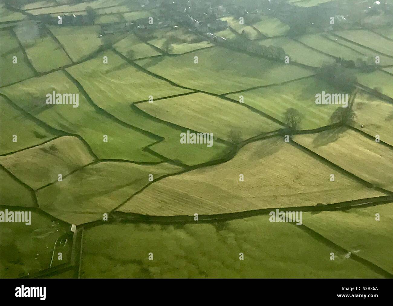 Eine Luftaufnahme von Feldmustern, die von alten Steinmauern geschaffen wurden, in der Yorkshire Dale's, North Yorkshire, Nordengland Stockfoto