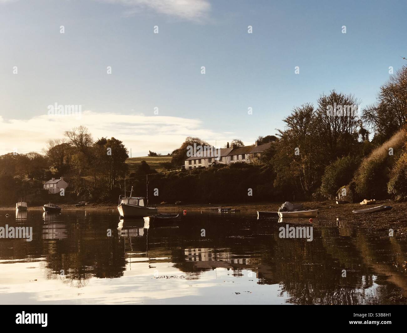 Pill Creek im frühen Morgenlicht - Smartphone-aufgenommenes Stockfoto