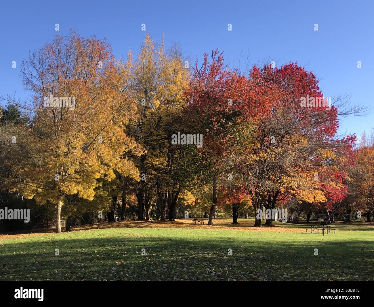 Der bunte Herbsttag Stockfoto