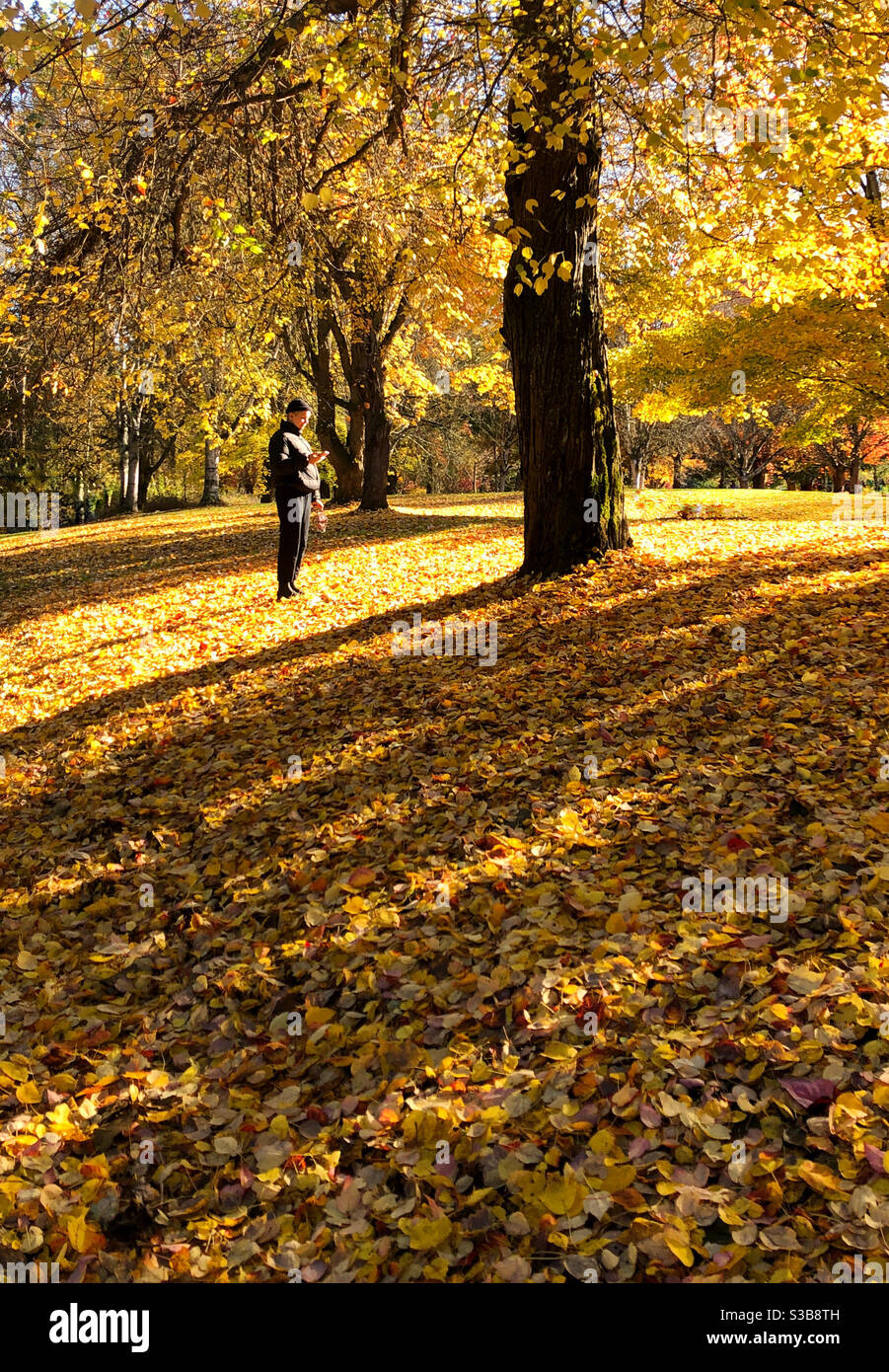 Ein Tag im park Stockfoto