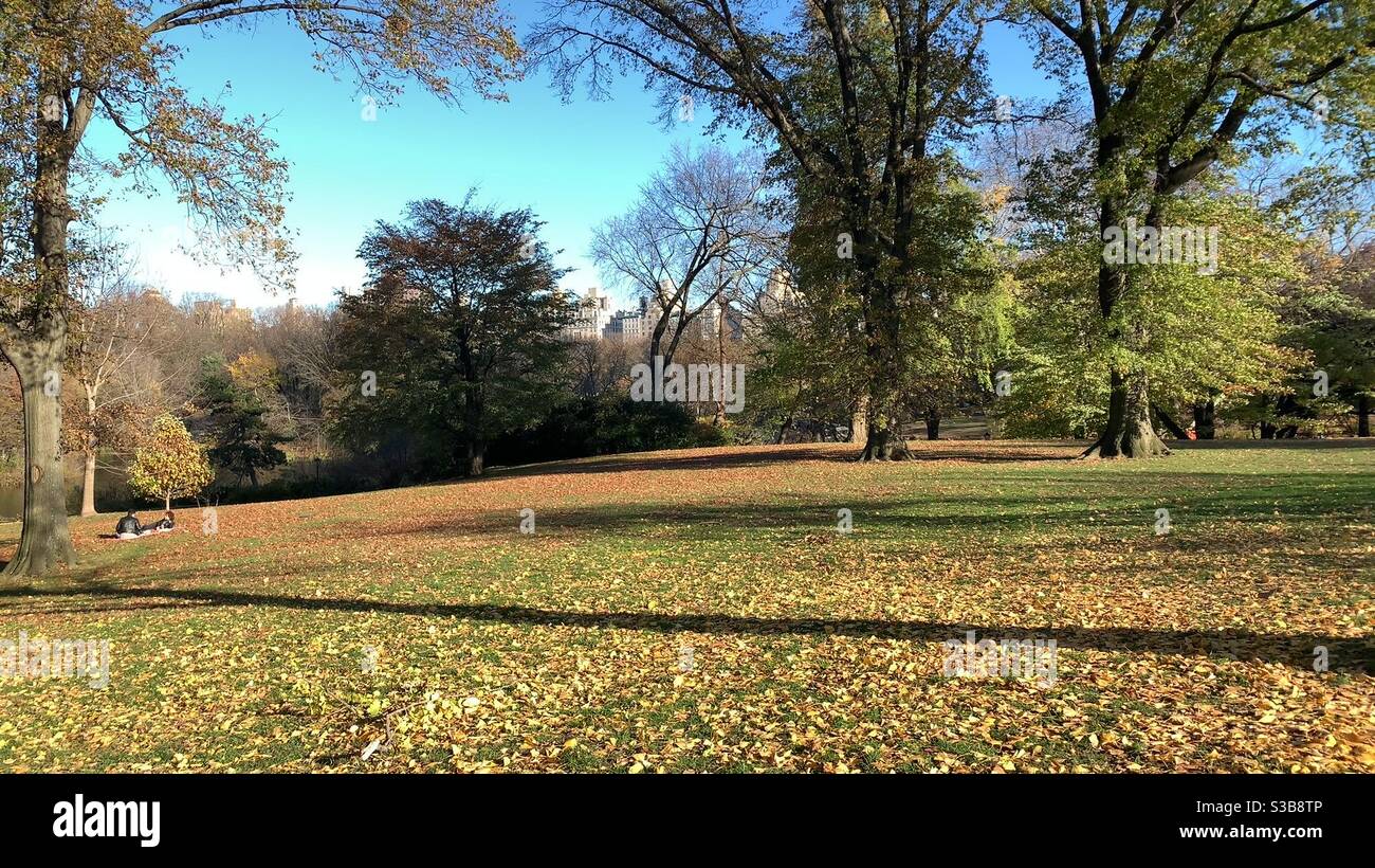 Die Bäume im Central Park in Manhattan im Herbst haben verschiedene Farben. Es ist erstaunlich, wie viele Töne es gibt. Stockfoto