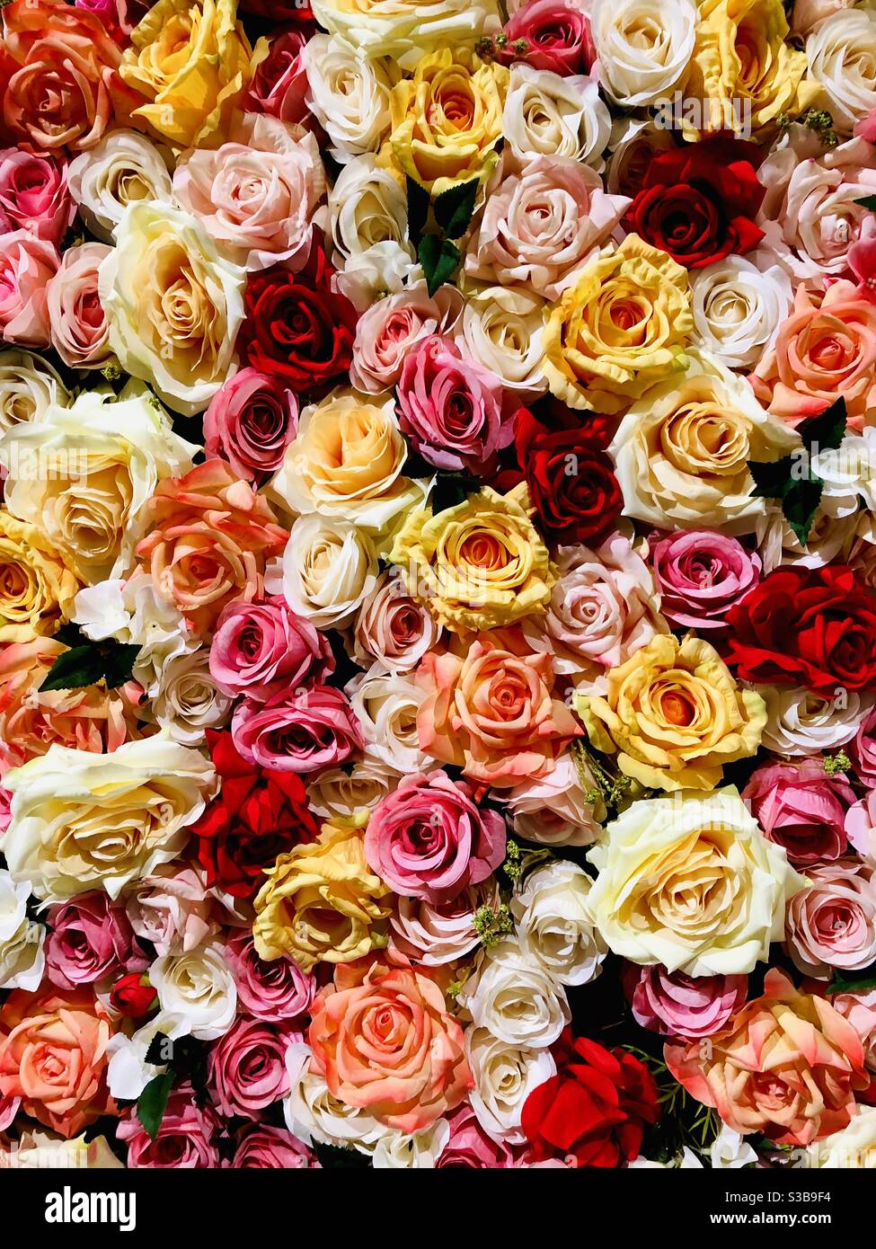 Wand aus mehrfarbigen Stoff Rosen. - Smartphone-aufgenommenes Stockfoto