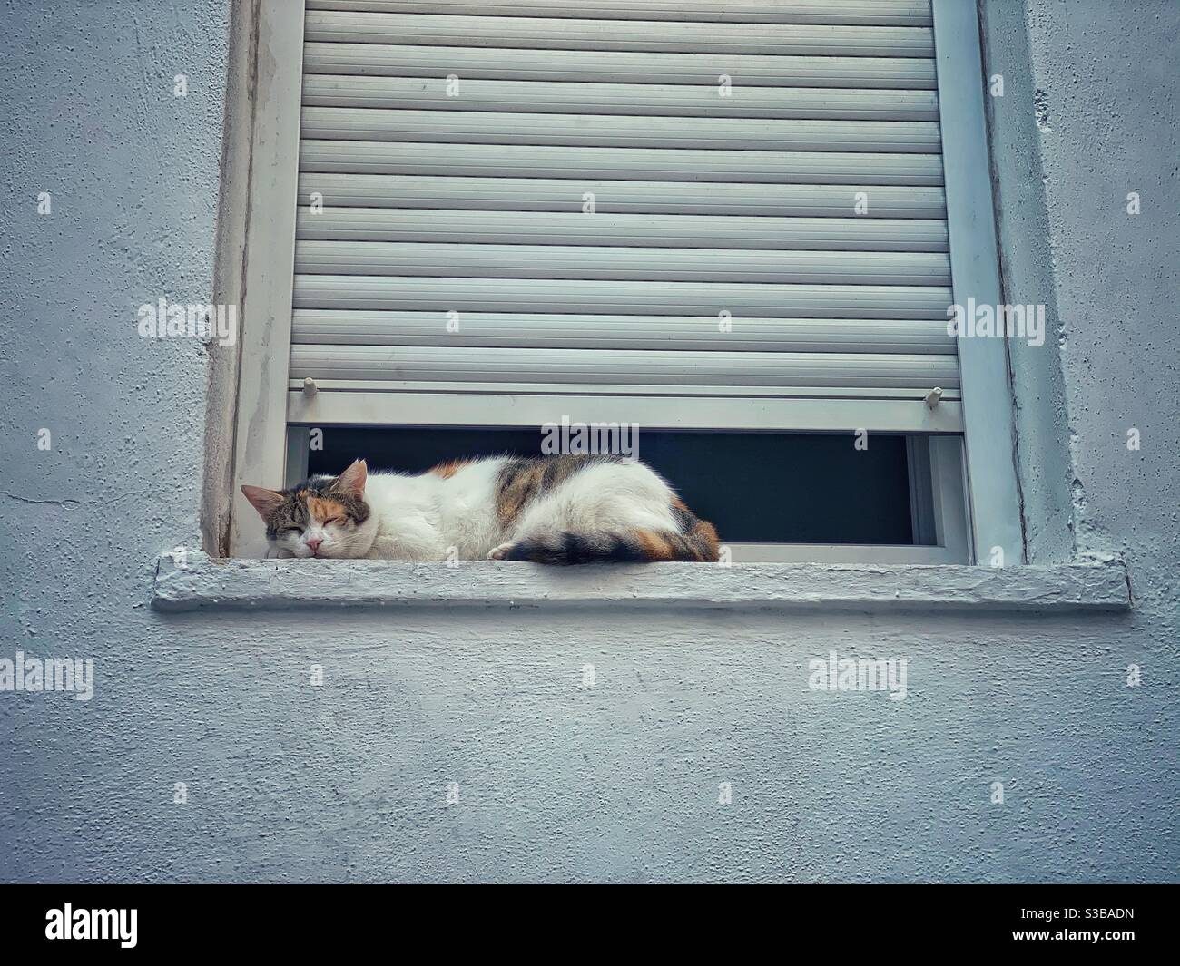 Katze schläft auf einem Fenster in Skiathos Stadt. - Smartphone-aufgenommenes Stockfoto