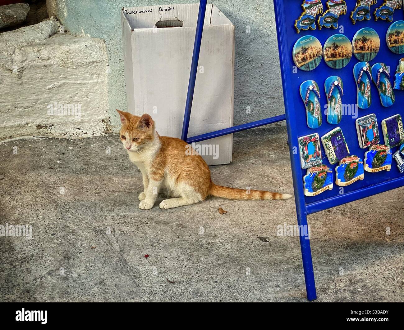 Orange Kätzchen vor dem griechischen Souvenirladen in Skiathos Stadt. Stockfoto