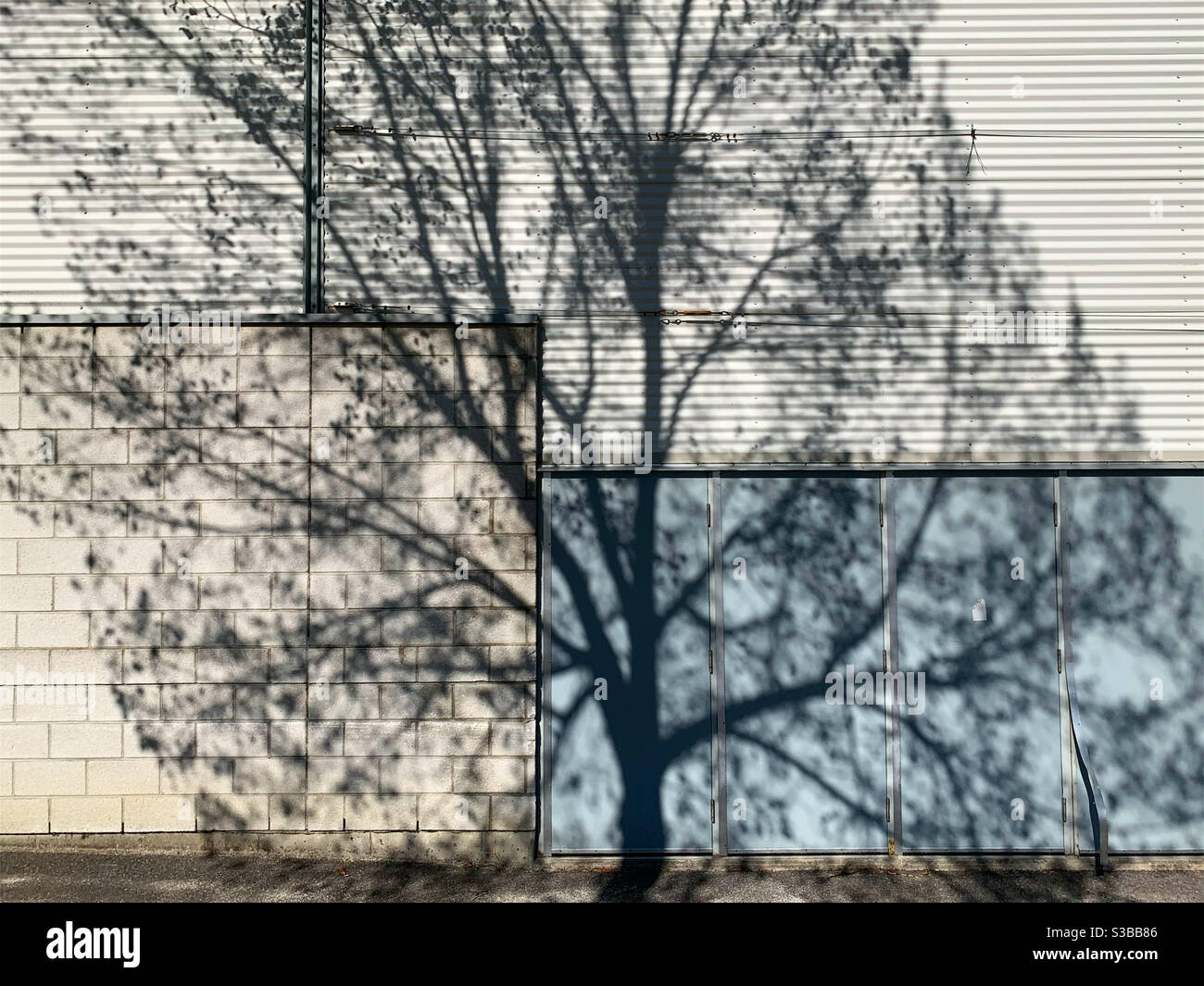 Schatten eines Baumes Stockfoto