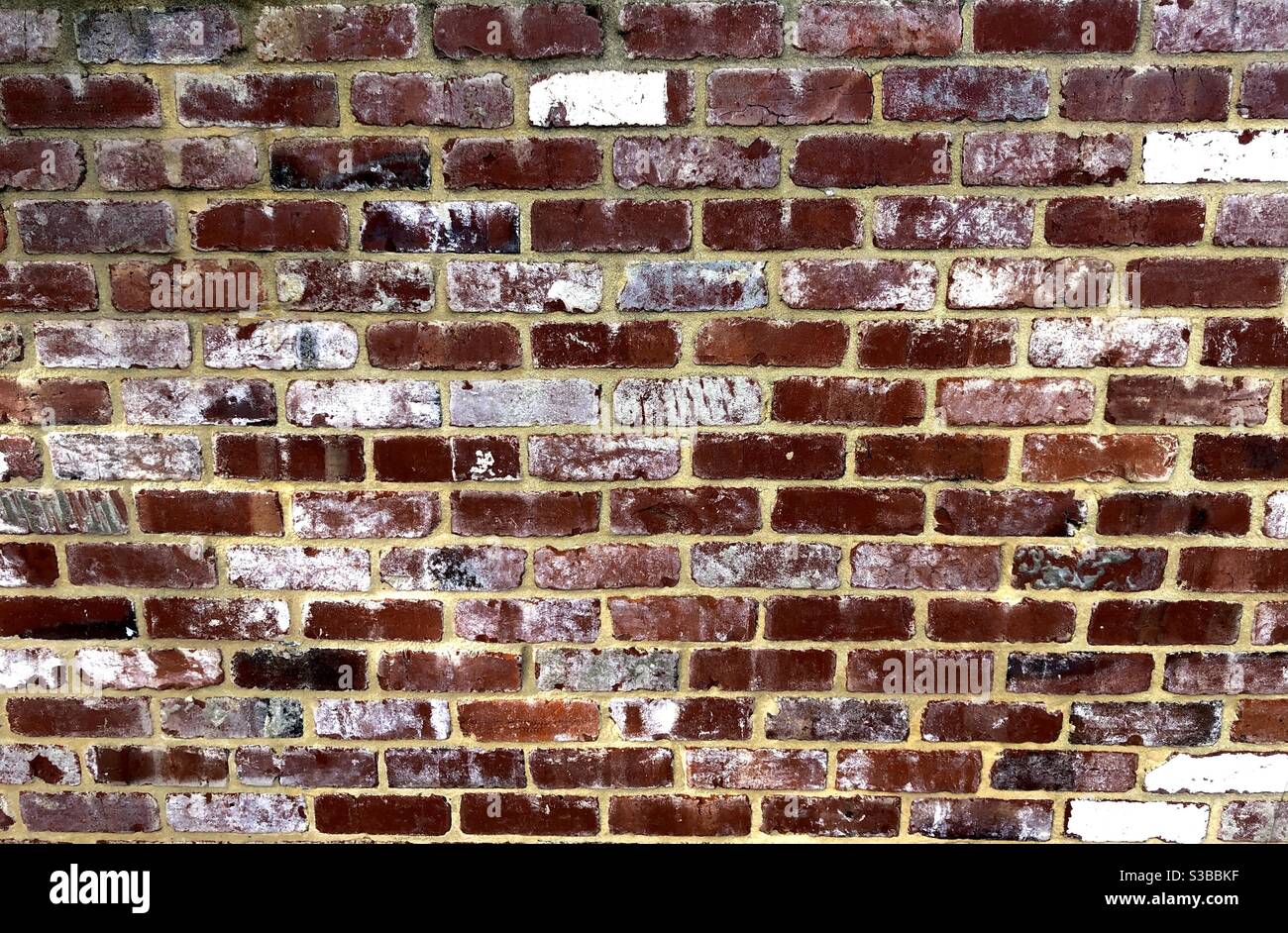 Wand aus recycelten Ziegeln, die in der Farbe variieren. Stockfoto