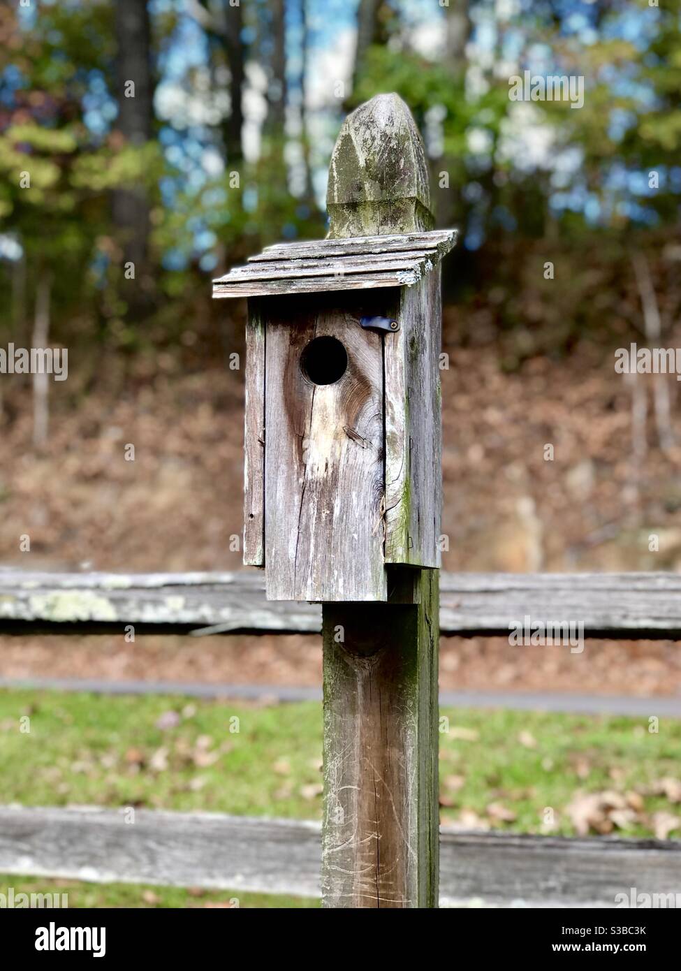 Vogelhaus aus Holz am Pfosten durch einen Zaun Stockfotografie - Alamy