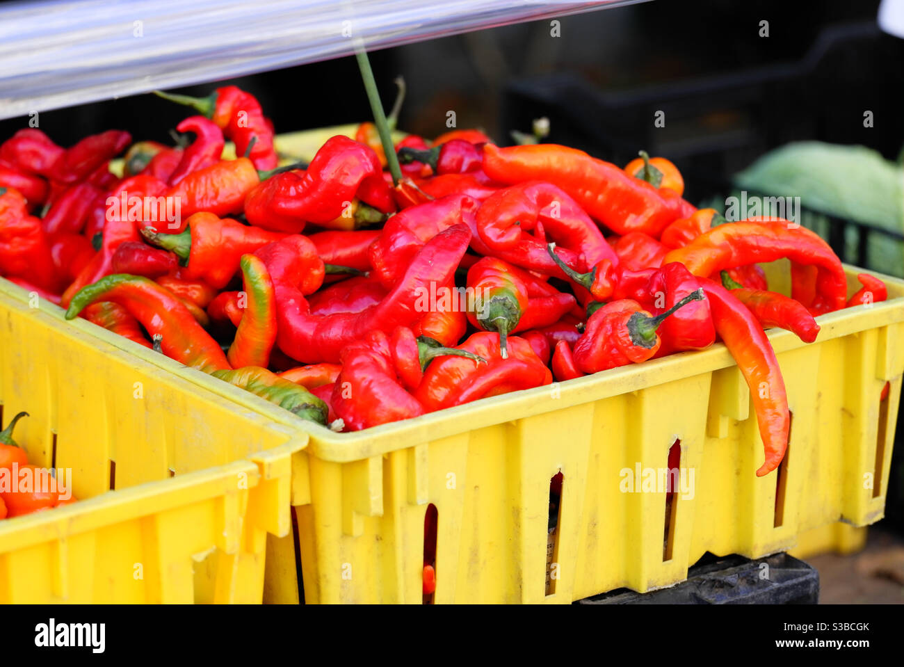 Rote Paprika in einer gelben Kiste auf dem Bauernmarkt Stockfoto