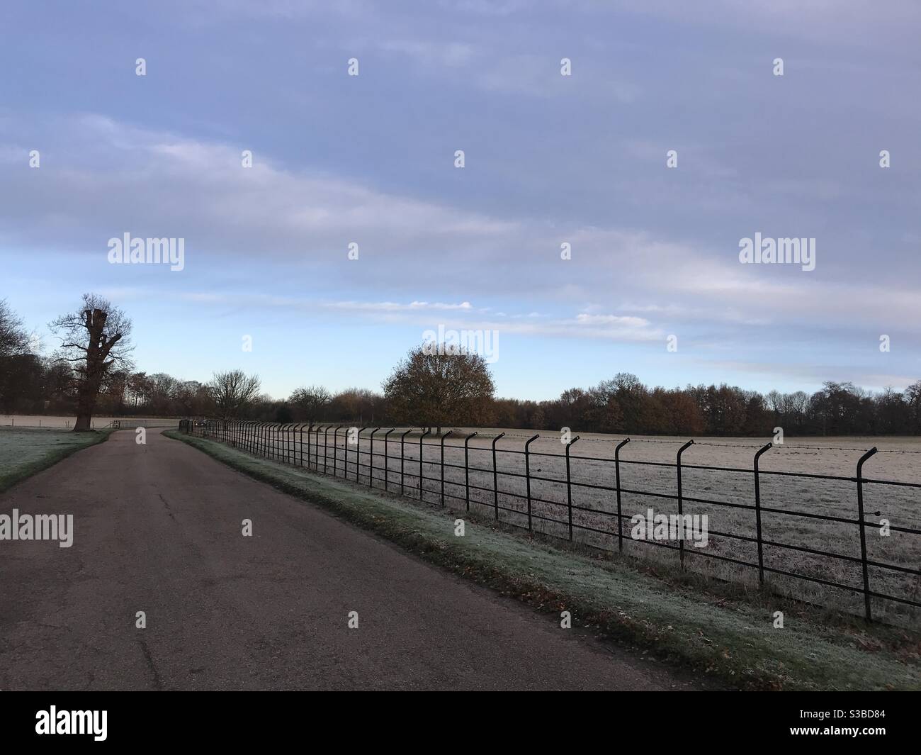 Morgenfrost in der englischen Landschaft - Smartphone-aufgenommenes Stockfoto