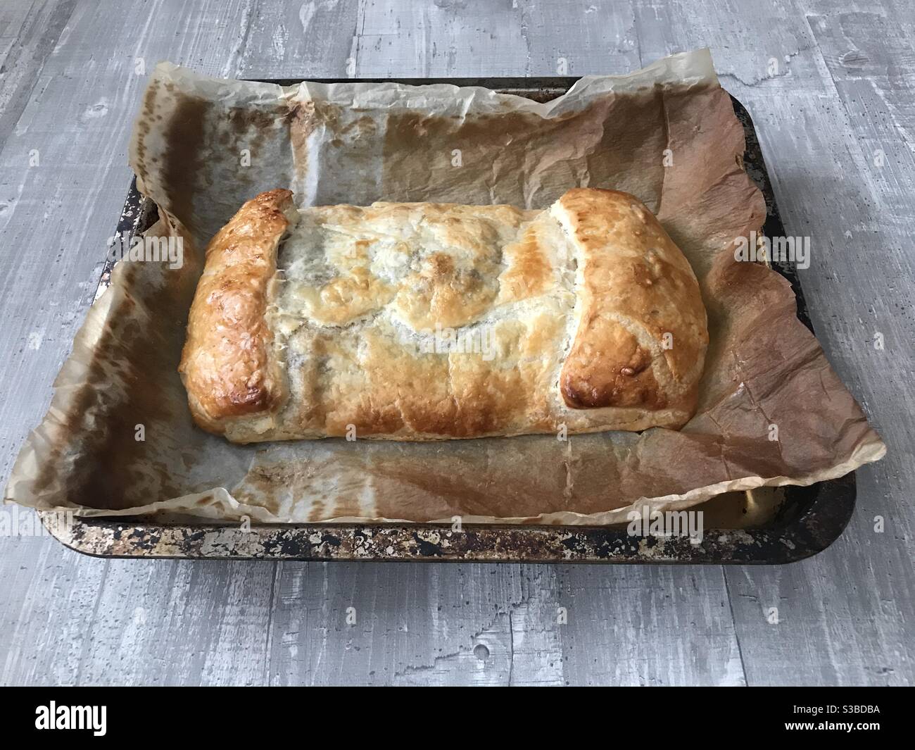 Ofen gebackenen Lachs en croûte auf einem hölzernen Hintergrund Stockfoto