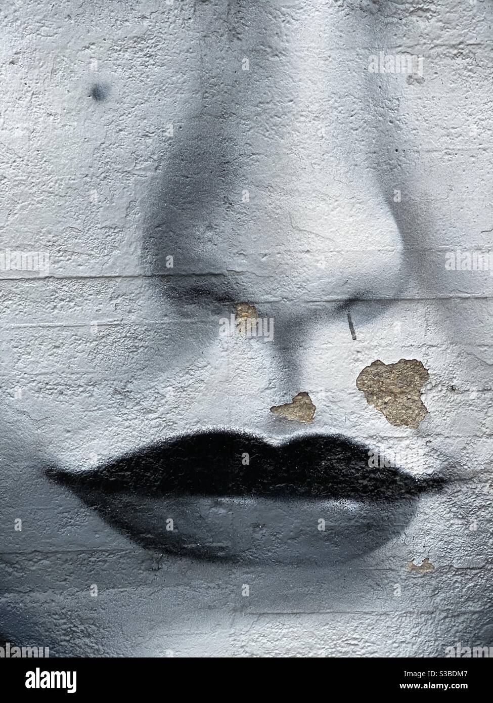 Month und Nase Detail Ansicht, weibliche Gesicht Airbrush Design Stockfoto