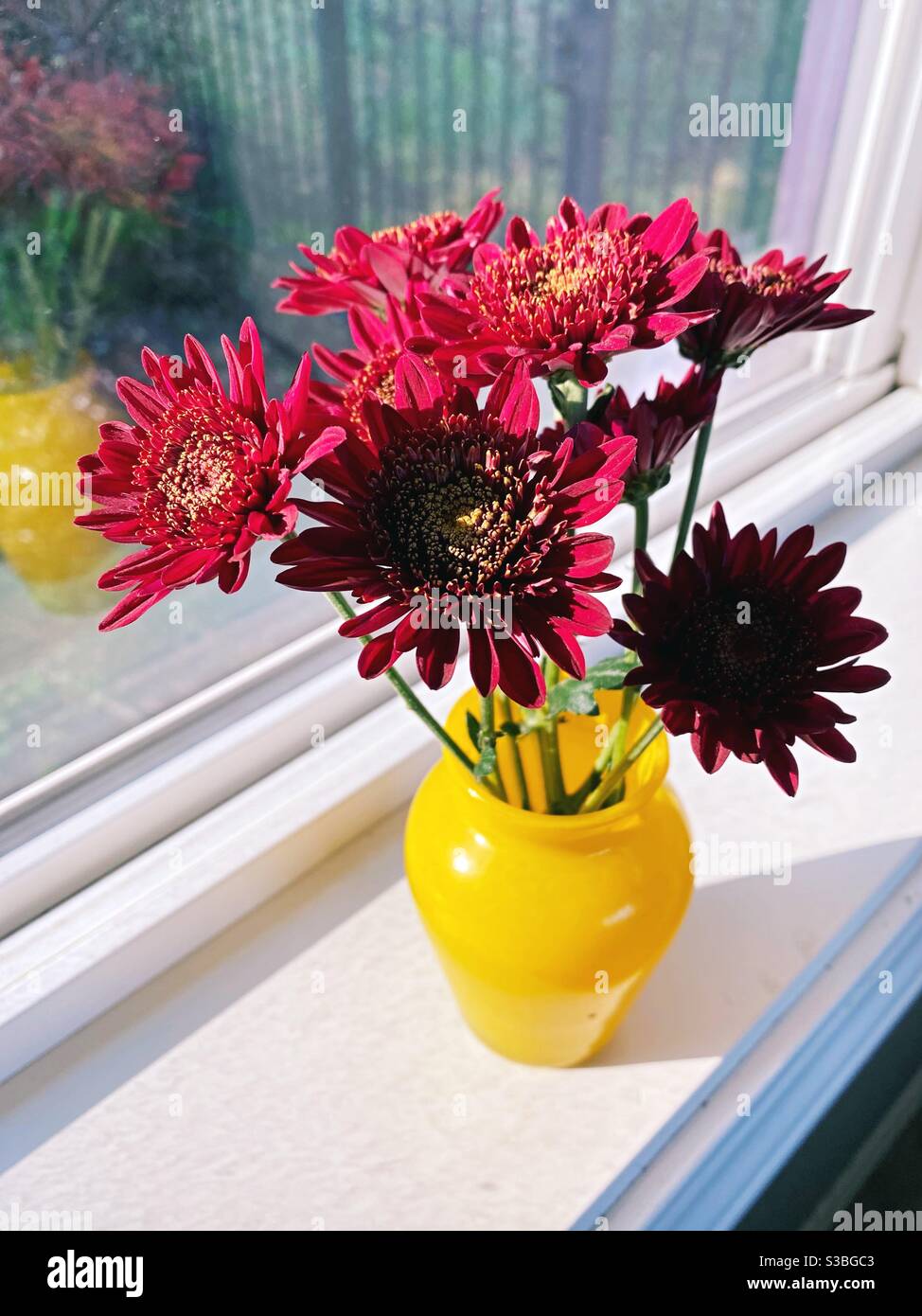 Eine Anordnung von roten Blumen in einer gelben Vase auf einer Fensterbank. Stockfoto