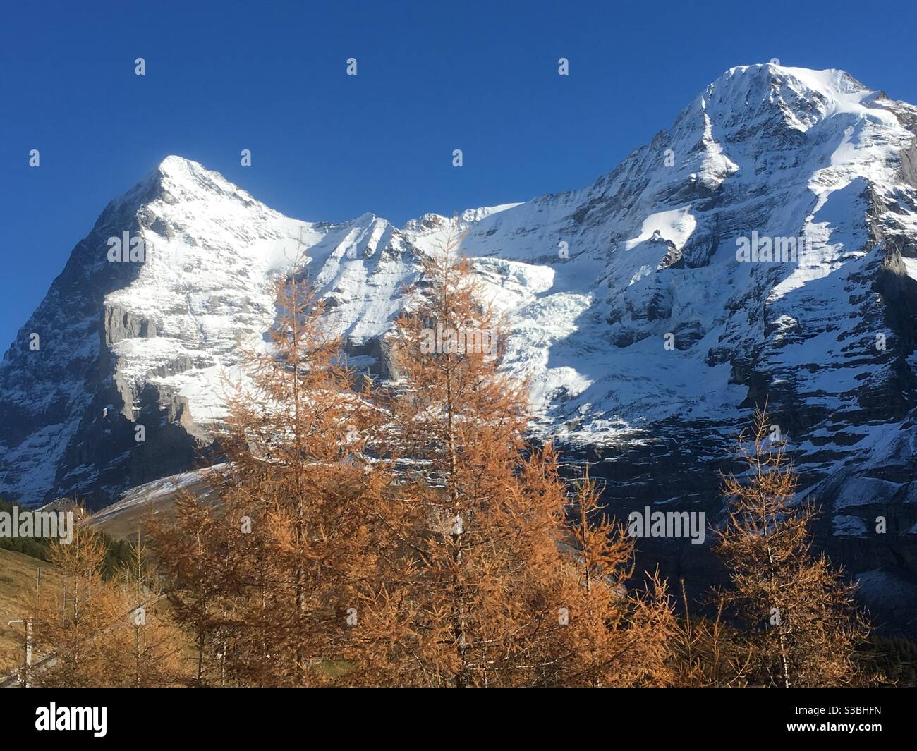 Mtns Eiger, Mönch mit Lärchen, Herbst, Berner alpen, Schweiz Stockfoto