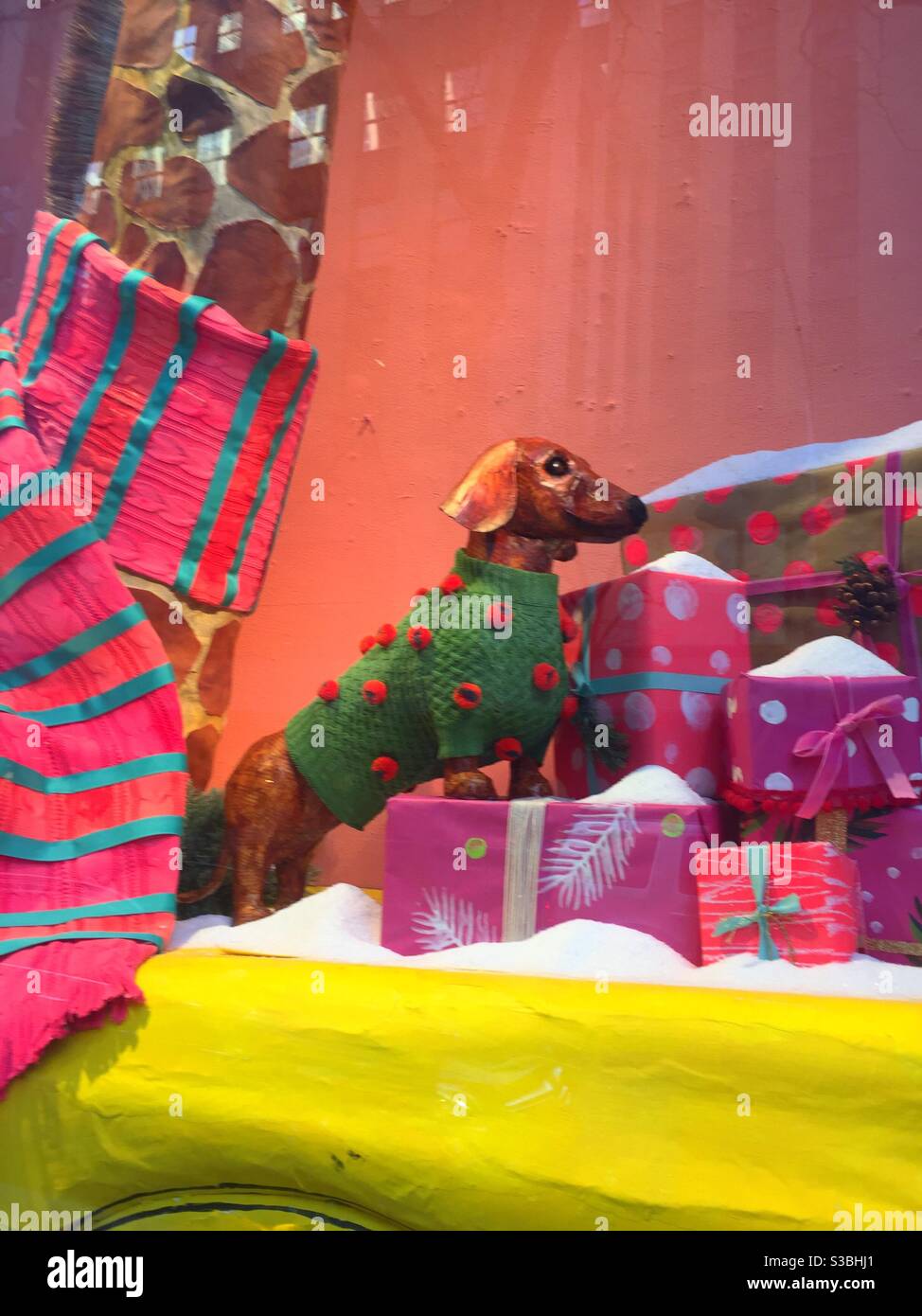 Das lustige Urlaubsfenster zeigt einen Dackel in einem Weihnachts-Pullover zusammen mit Geschenken, die mit Schnee bestäubt sind, NYC, USA - Smartphone-aufgenommenes Stockfoto