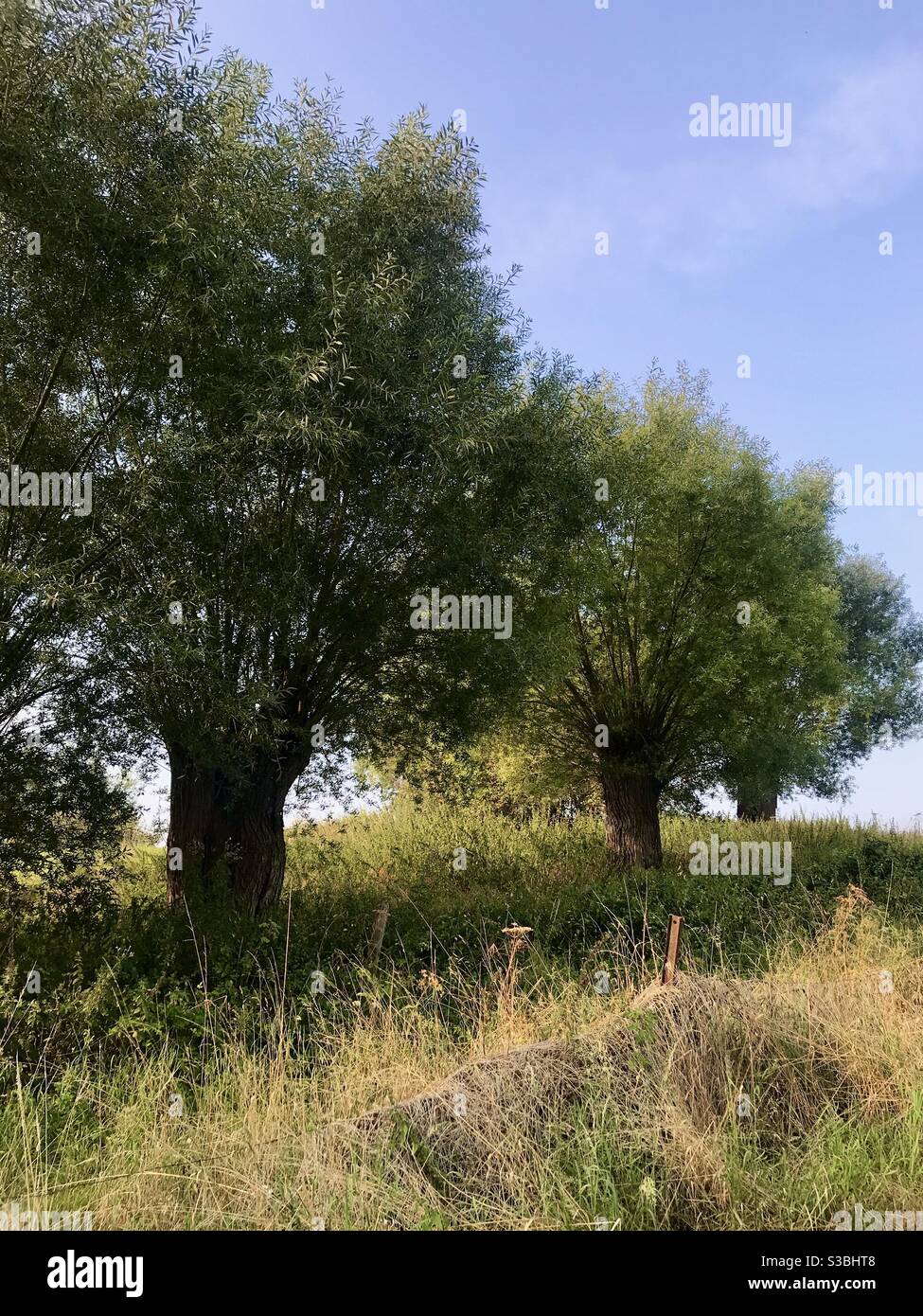 Ende des Sommers schöne Landschaften Stockfoto