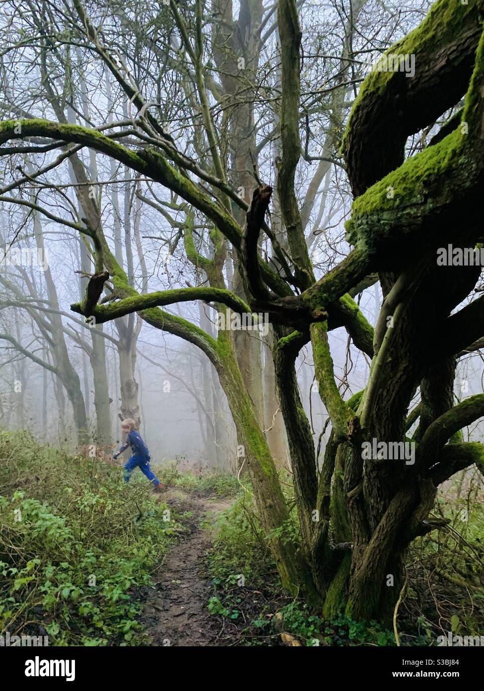 Junge, der durch den Wald läuft. Stockfoto