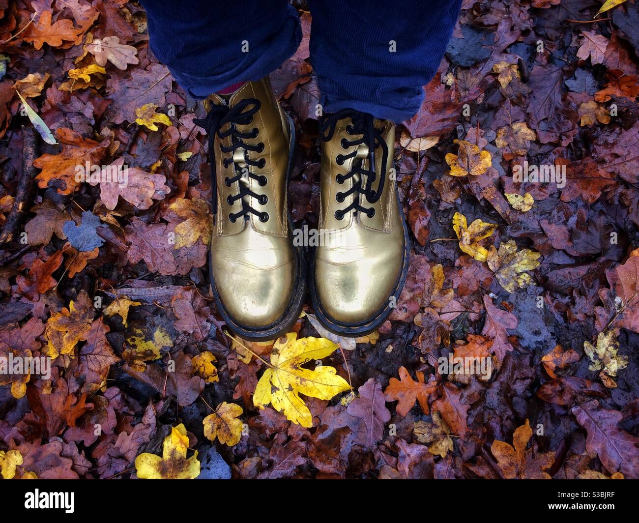 Füße und Unterschenkel einer Frau, die in nassen, regnerischen Herbstblättern stehen und goldene Dr. Marten Stiefel und blaue Cord-Hosen tragen Stockfoto