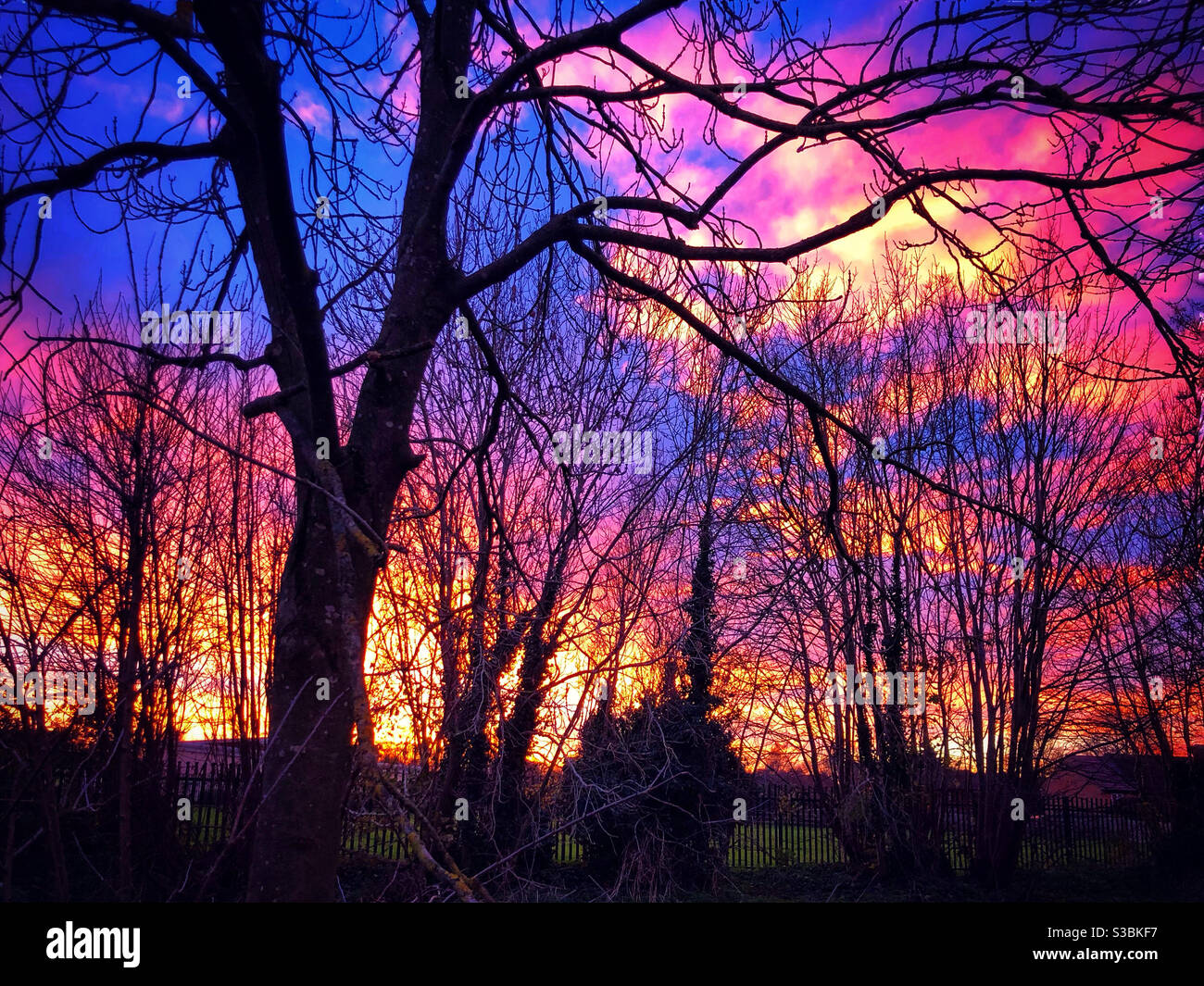 Sonnenuntergang Im Dezember Stockfoto