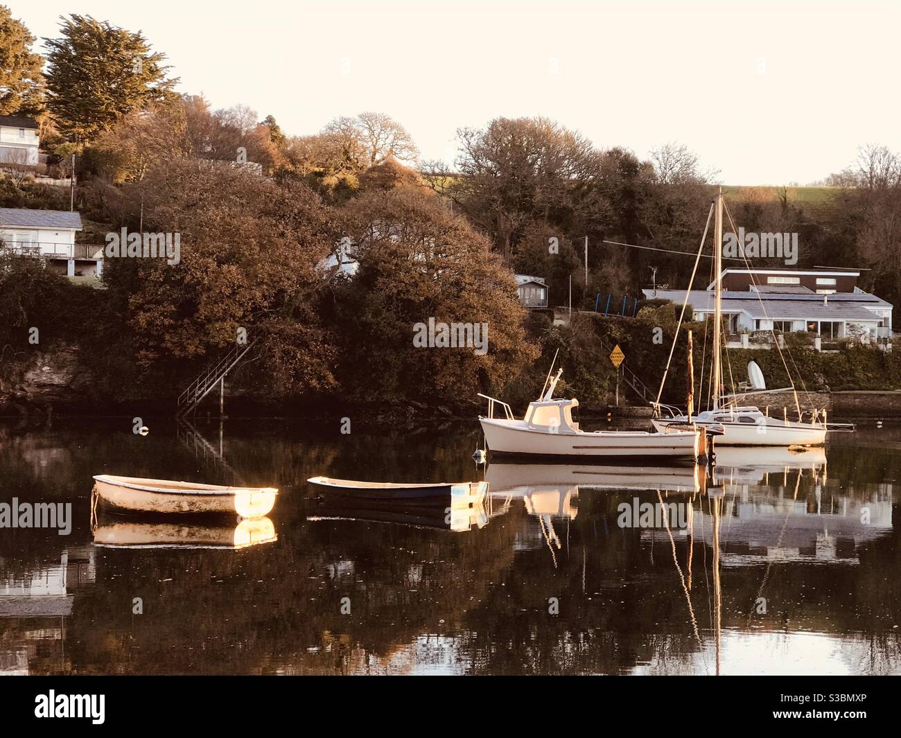 Pill Creek ein schöner Morgen im Dezember - Smartphone-aufgenommenes Stockfoto