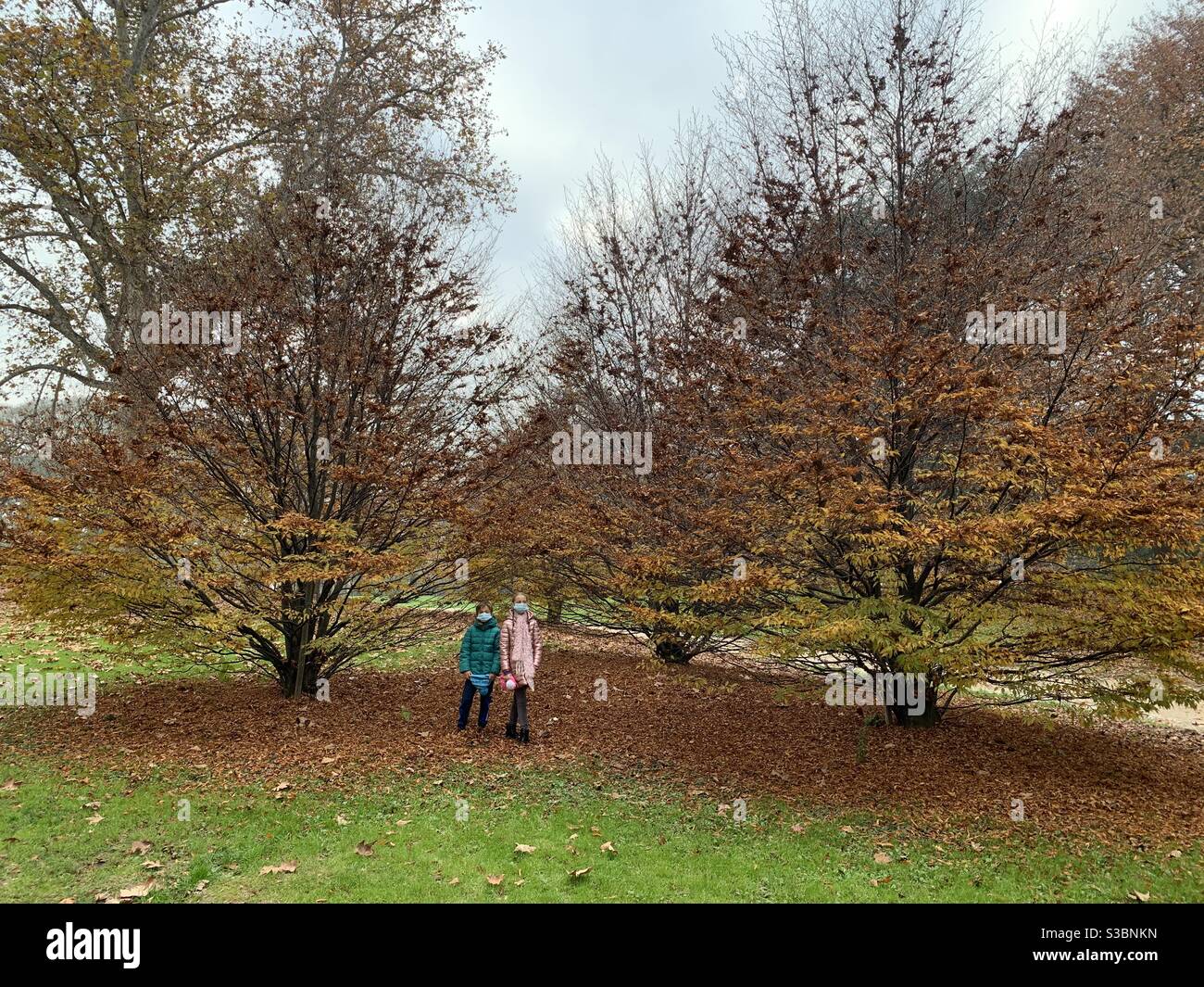 Ein Tag im Park. - Smartphone-aufgenommenes Stockfoto