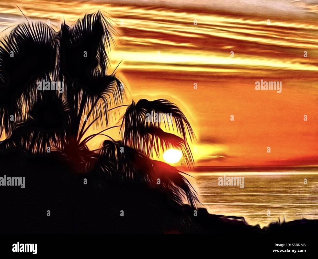 Fotokunst Bild von einem tropischen Sonnenuntergang und Palmen In Silhouette Stockfoto