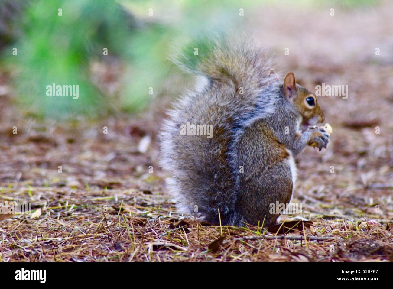 Das ist meine Mutter Stockfoto