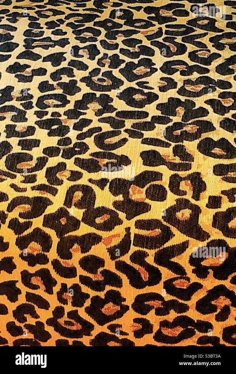 Nur Leopardenmuster, weil wir es lieben Stockfoto