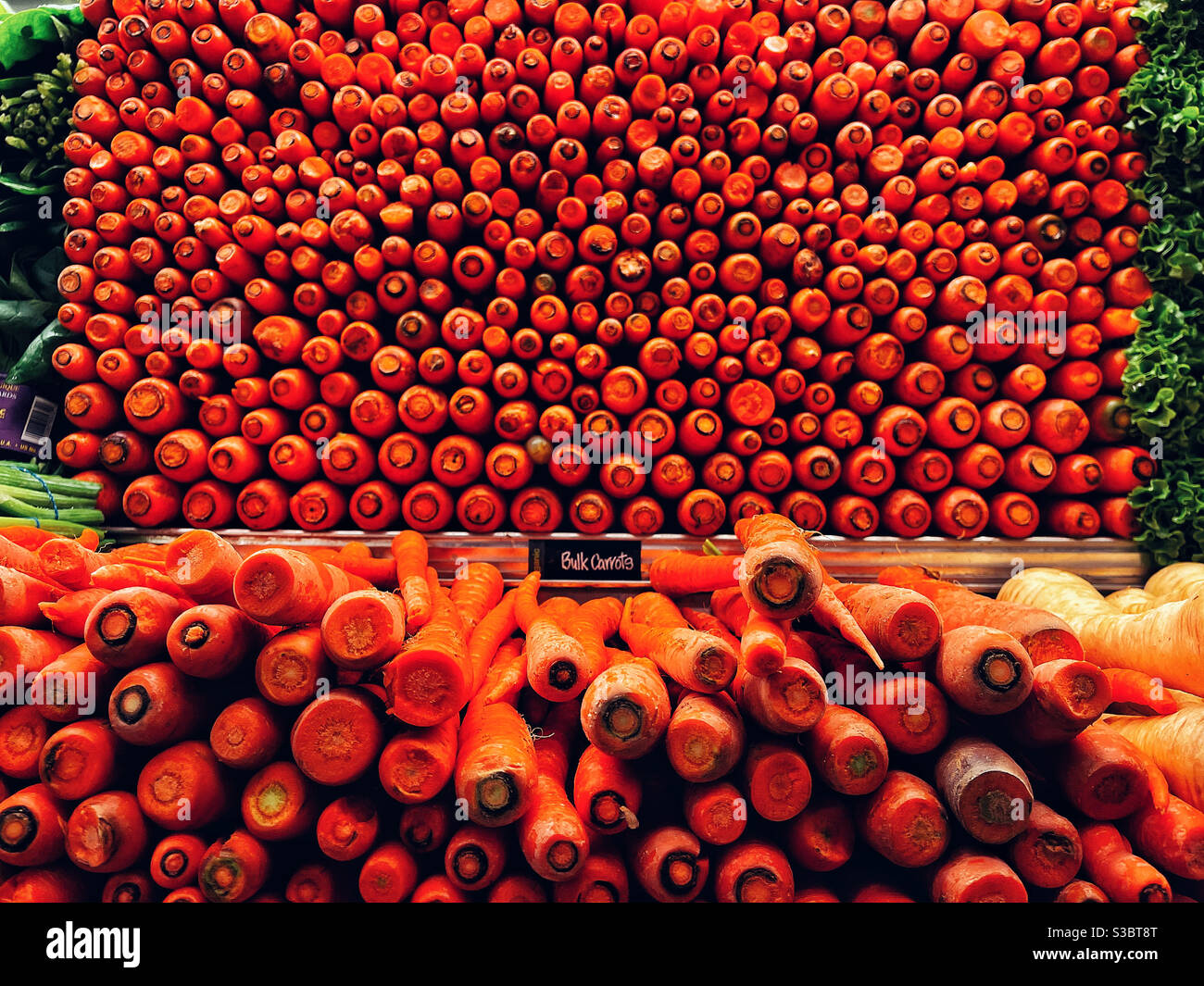 Frische Karotten in den Regalen des schicken Lebensmittelladens USA Stockfoto