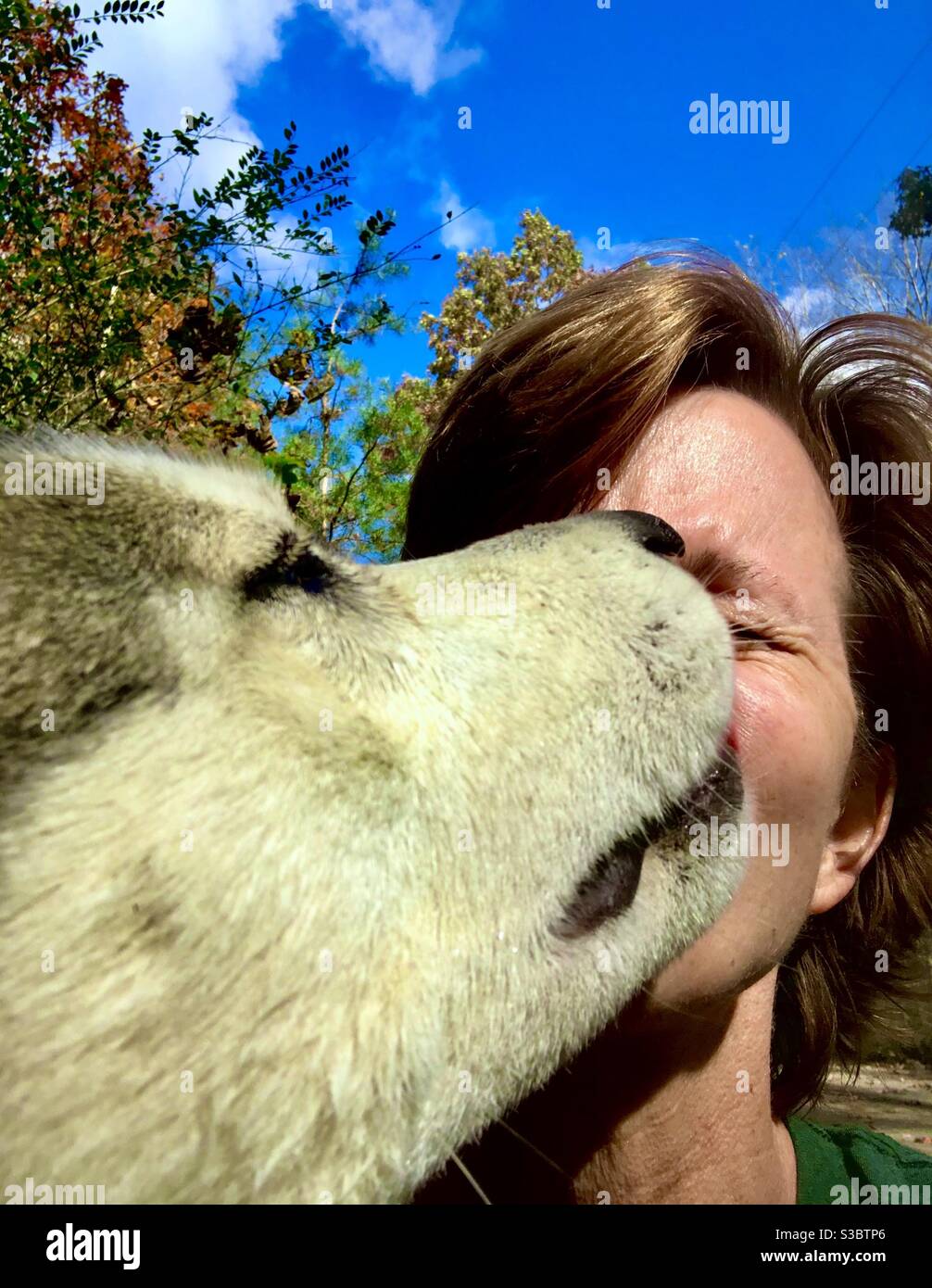 Hund, der dem Begleiter auf der Wanderung Küsse gibt Stockfoto