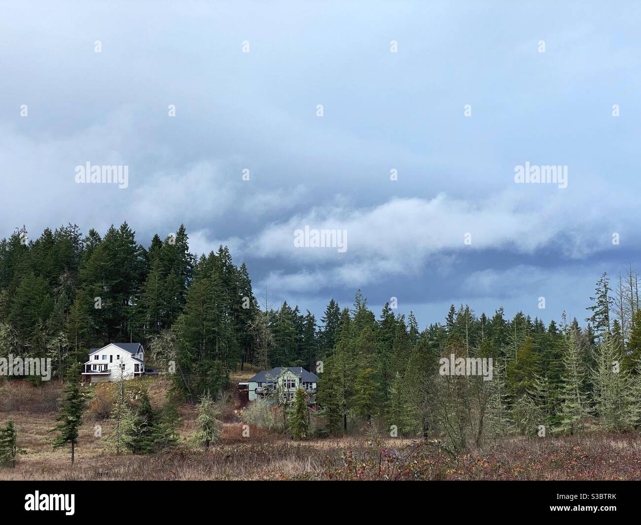 Ländliche Eugene, Oregon an einem bewölkten Wintertag. Stockfoto
