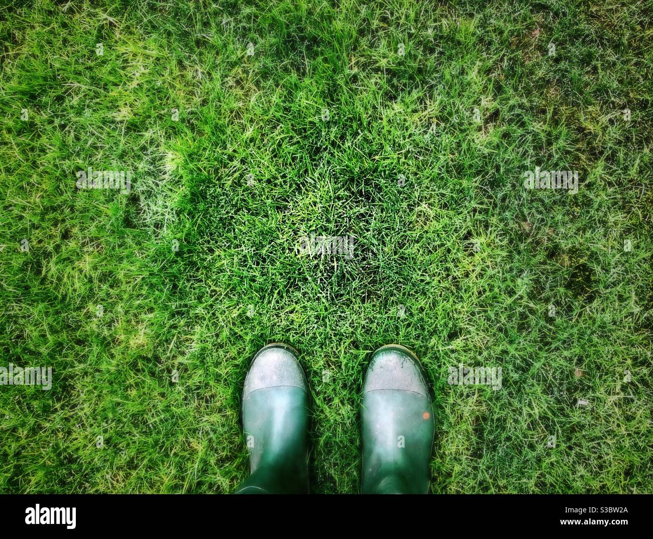 Green Wellington Stiefel auf Gras Stockfoto