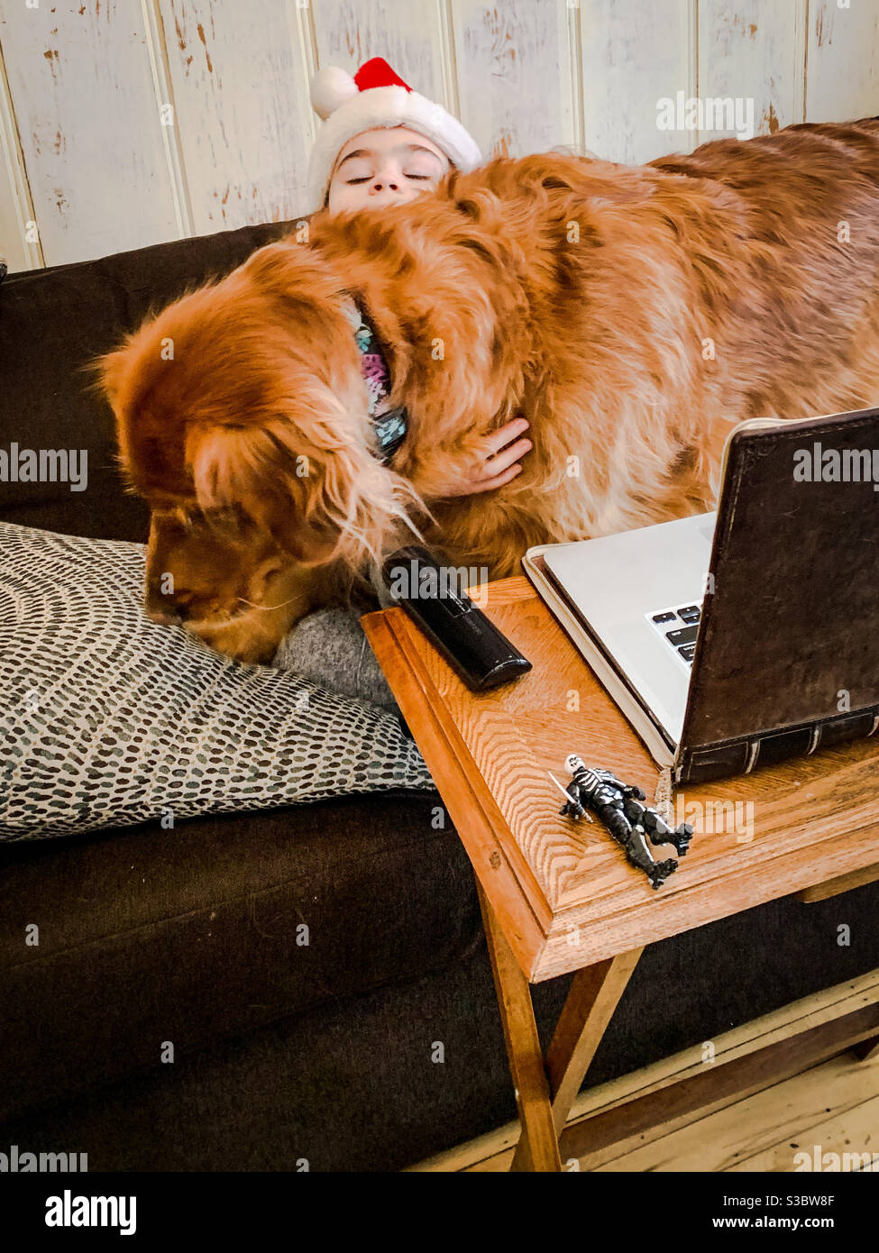 Ein goldener Retriever-Hund stört die Videoklasse eines Jungen der 5. Klasse - blockiert den Blick auf die Kamera und die Tastatur aus seinen Händen. - Smartphone-aufgenommenes Stockfoto