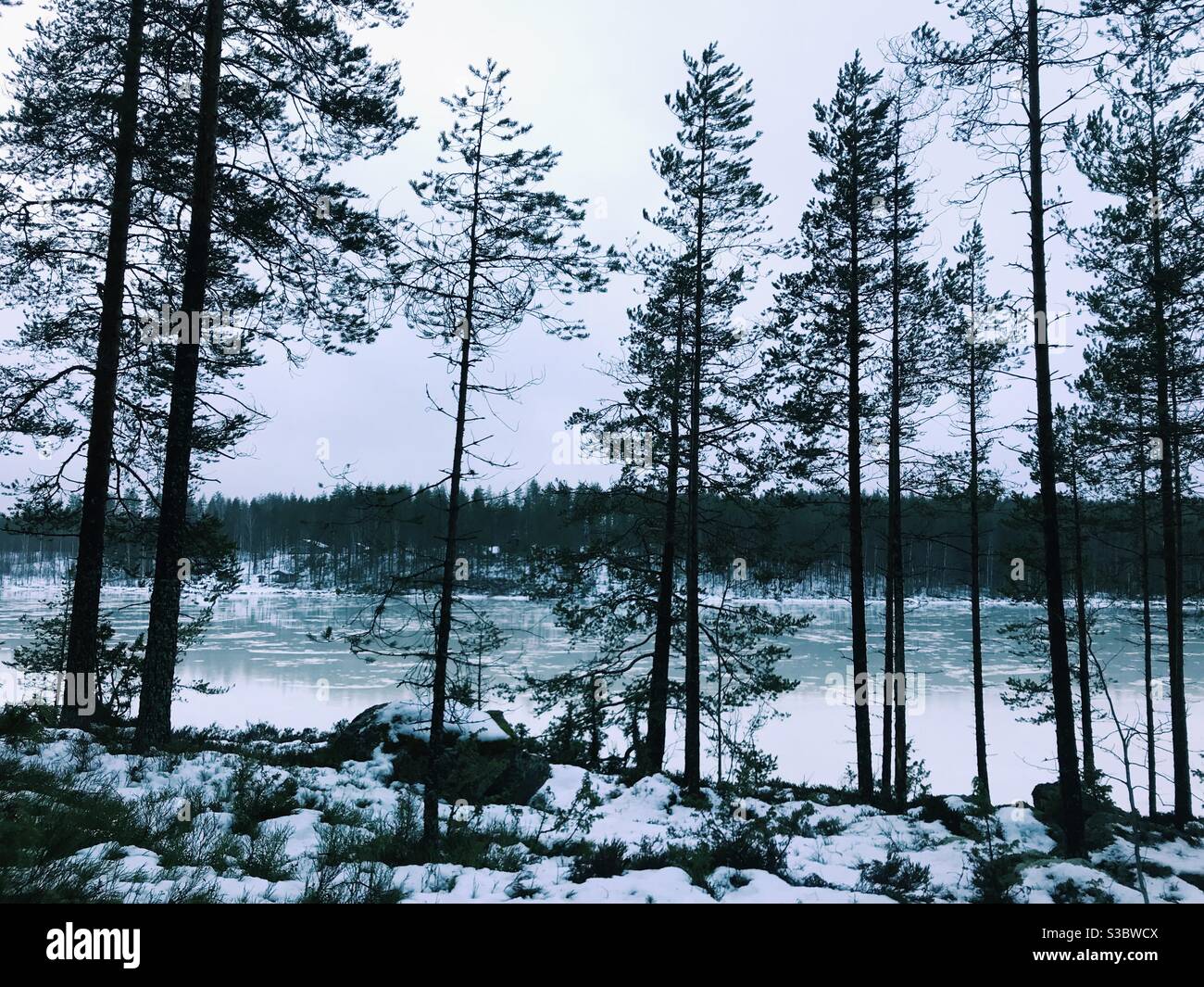 Winterurlaub in Finnland Stockfoto