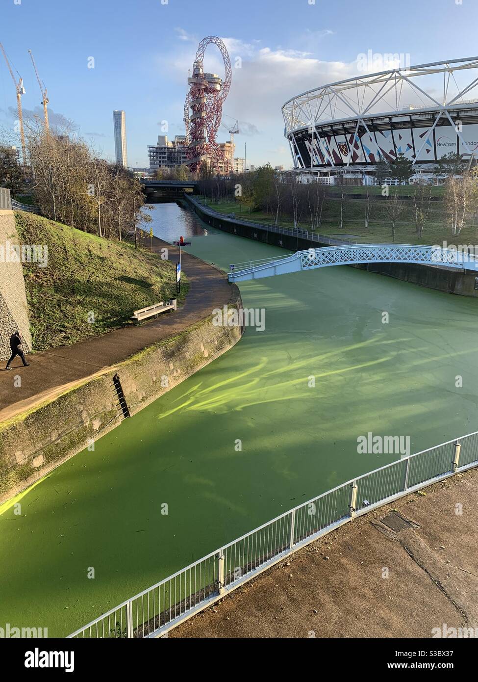 Grüne Algen am Fluss im Olympiapark Stockfoto