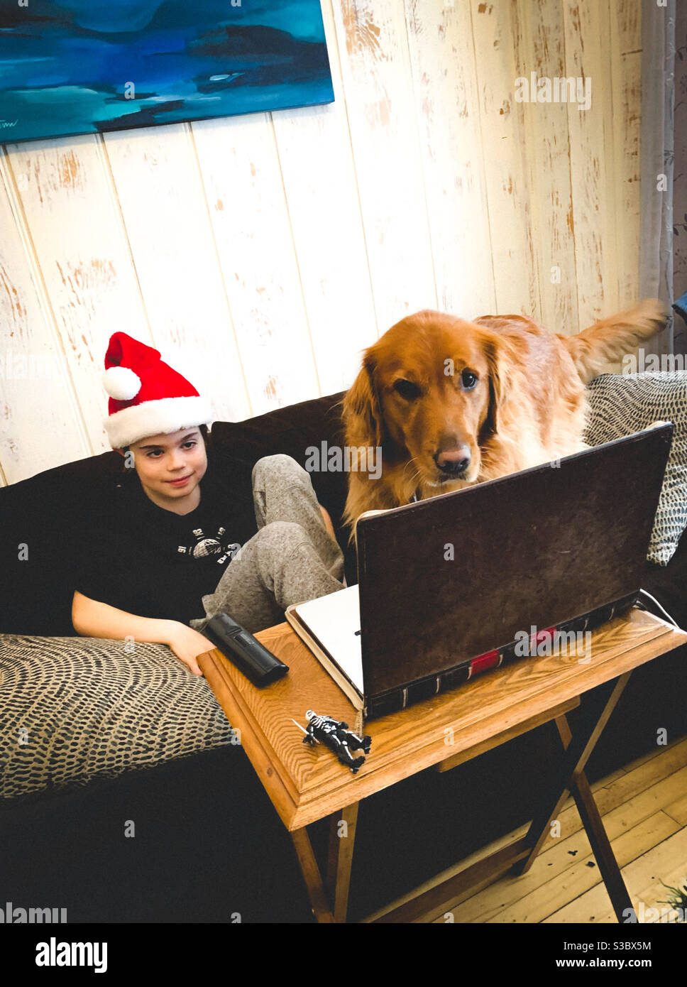 Ein Junge und sein Hund besuchen im Dezember 2020 eine virtuelle Klasse. - Smartphone-aufgenommenes Stockfoto