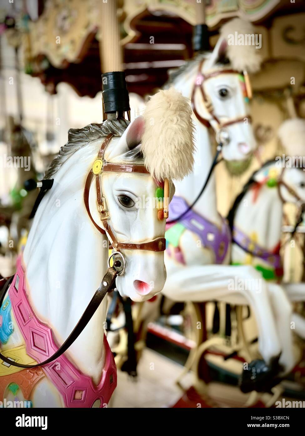 Weißes Pferd auf fröhlicher Runde in leerem Einkaufszentrum Danbury Connecticut USA Stockfoto