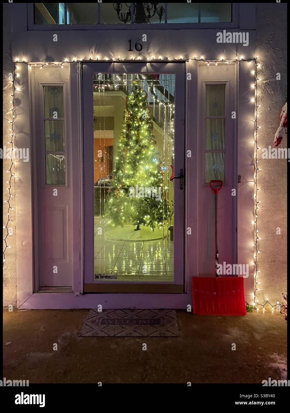 Weihnachtsbaum vor der Tür Stockfoto