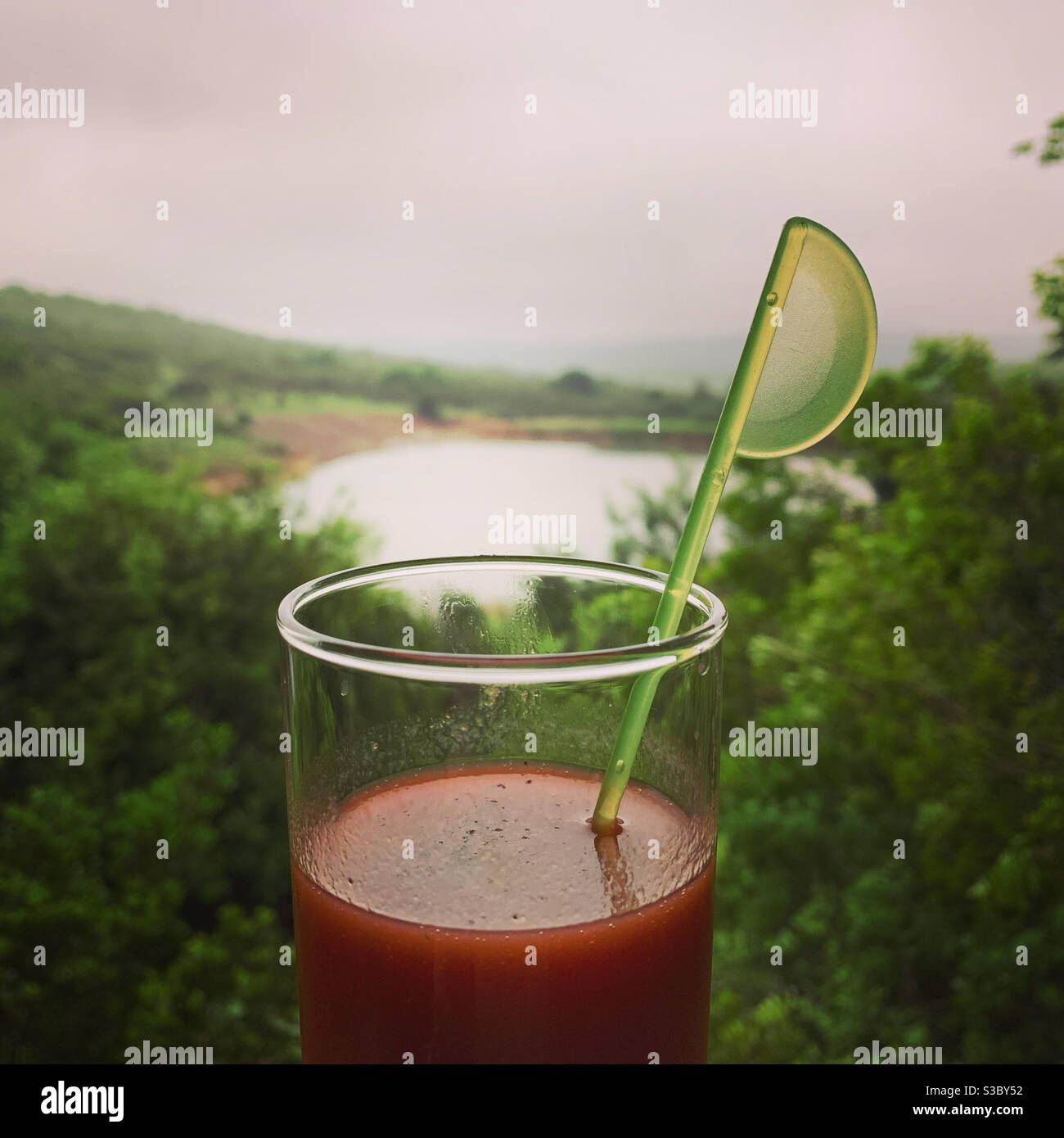 Ein Bloody Mary Cocktail mit afrikanischem Wasserloch Hintergrund Stockfoto