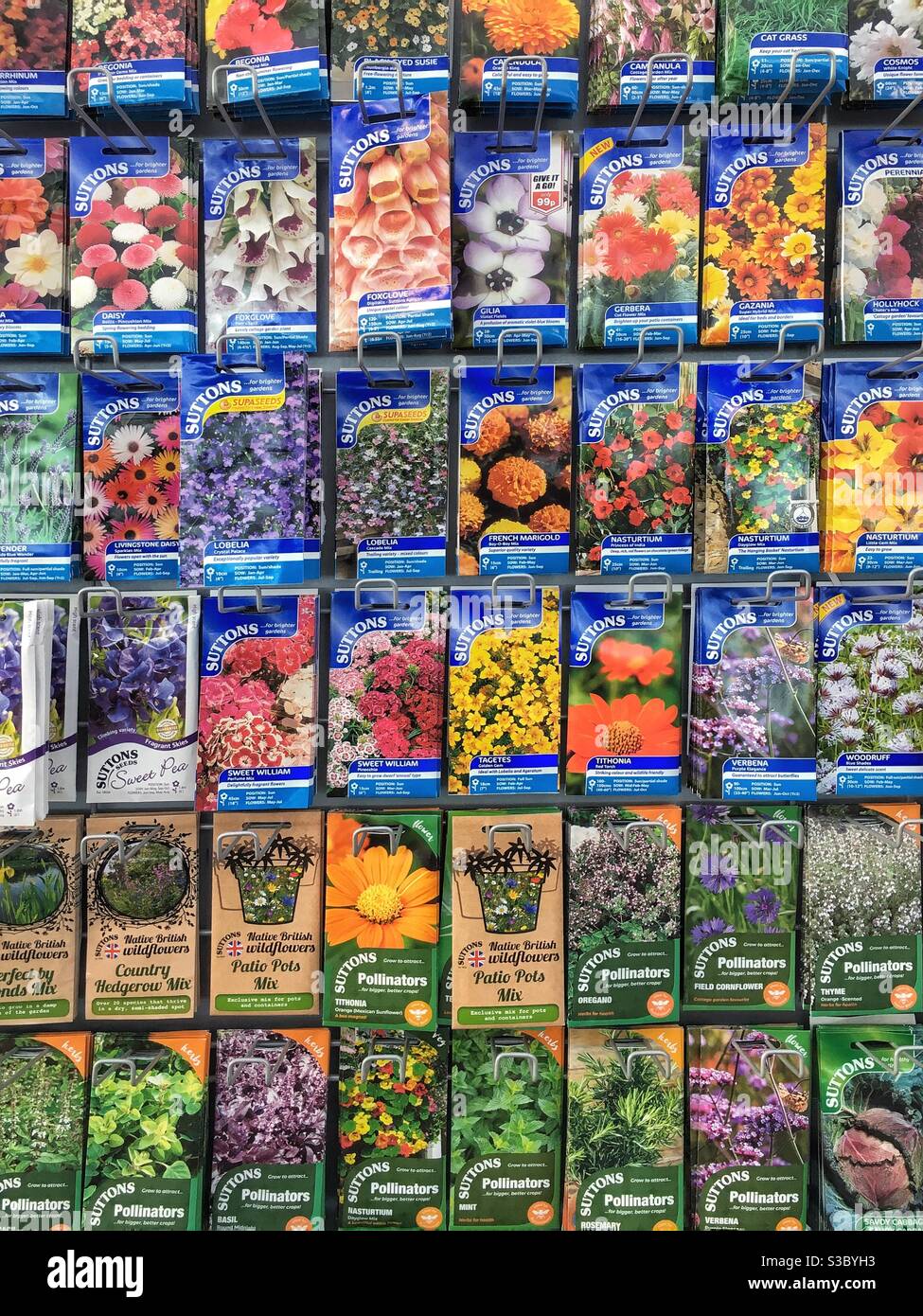 Bunte Pakete von Blumensamen zum Verkauf, Großbritannien - Smartphone-aufgenommenes Stockfoto