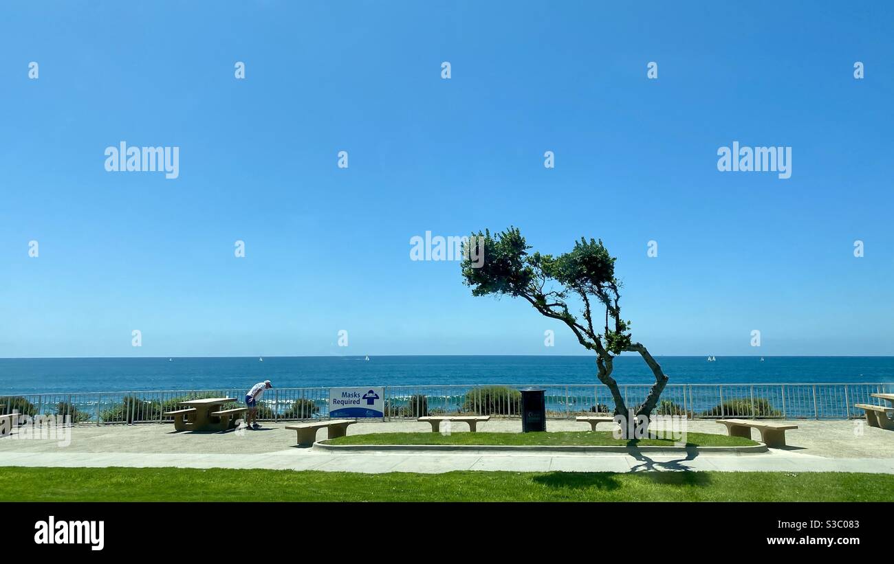 CARLSBAD, CA, AUG 2020: Taschenpark mit Mann, der auf Masken schaut erforderliches Schild neben dem Pazifik. Windgepeitschte Baum an einer Seite. Segelboote können auf dem Meer gesehen werden. Stockfoto