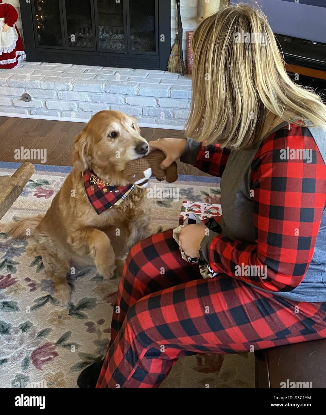Schöne Frau, die einem Hund ein Weihnachtsgeschenk gibt Stockfoto